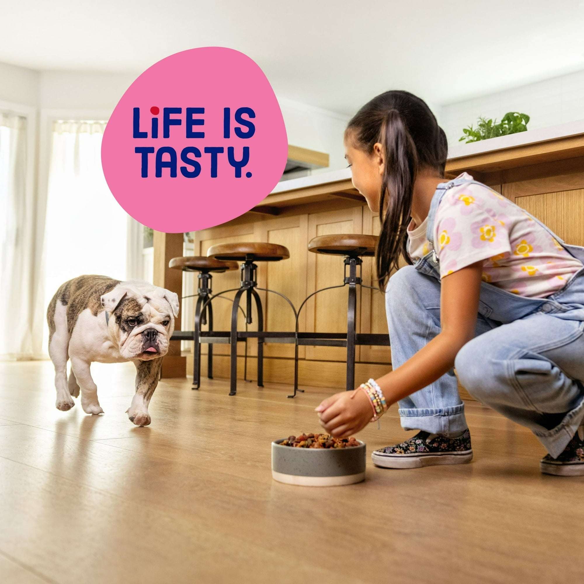 Kibbles 'n Bits Mini Bits Small Breed Dry Dog Food Savory Bacon & Steak Flavor, 3.5 lb. - Image 5