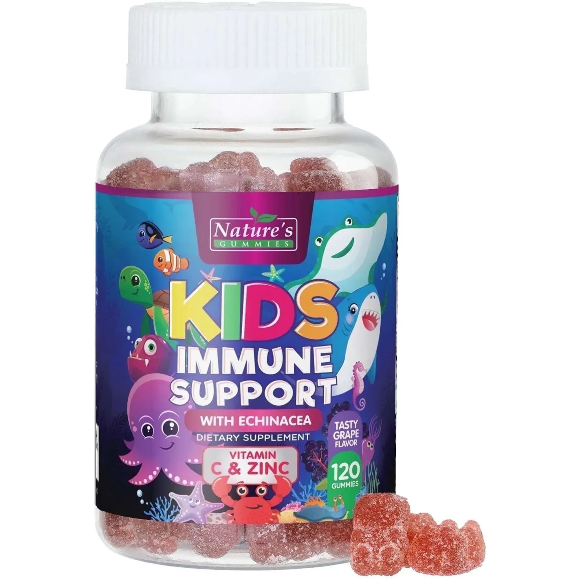 Kids Immune Support Supplement Gummies with Vitamin C, Zinc & Echinacea, Natural Berry Flavor, Ages 4+, 120 Gummies