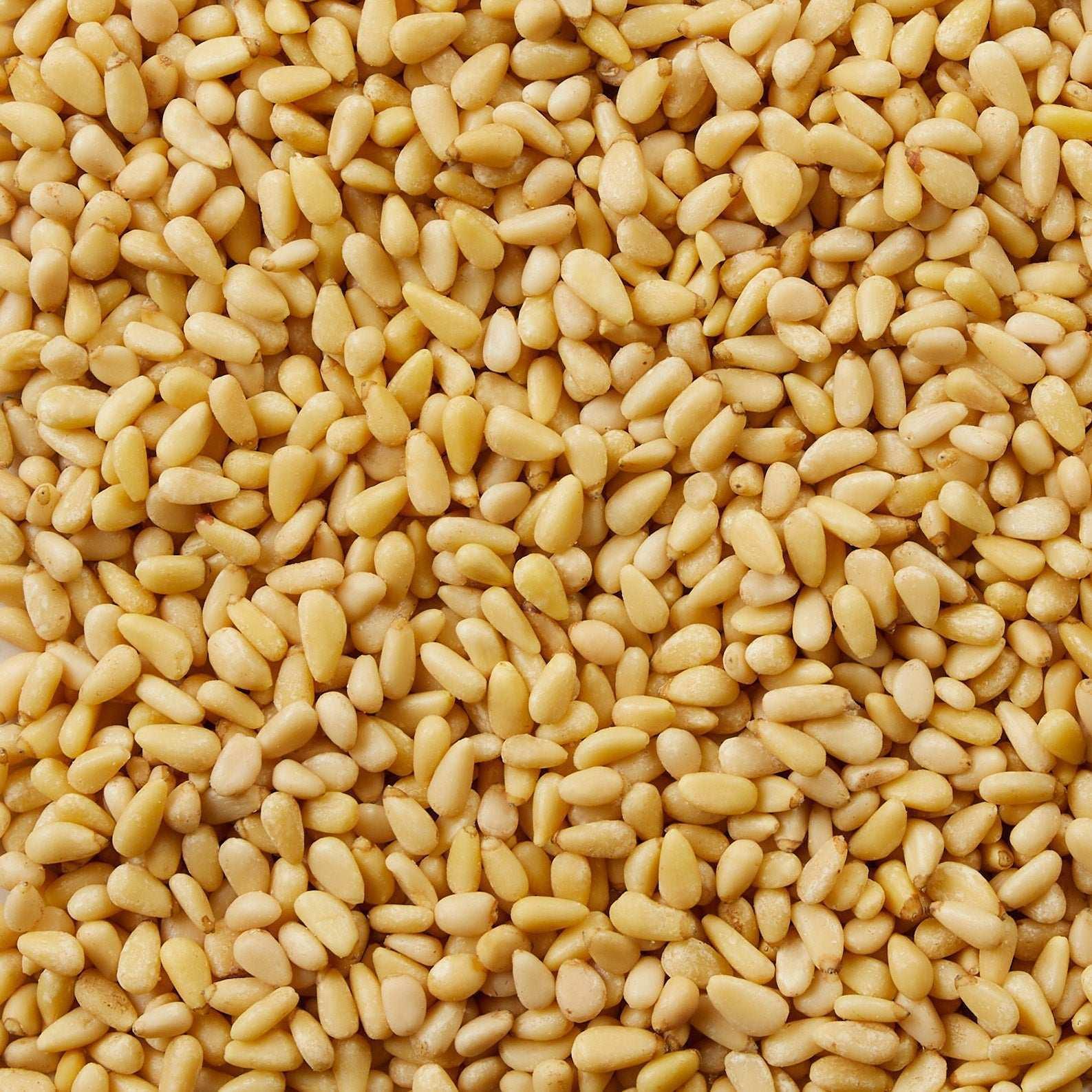 Kirkland Signature Organic Pine Nuts, 1.5 lbs - Image 6