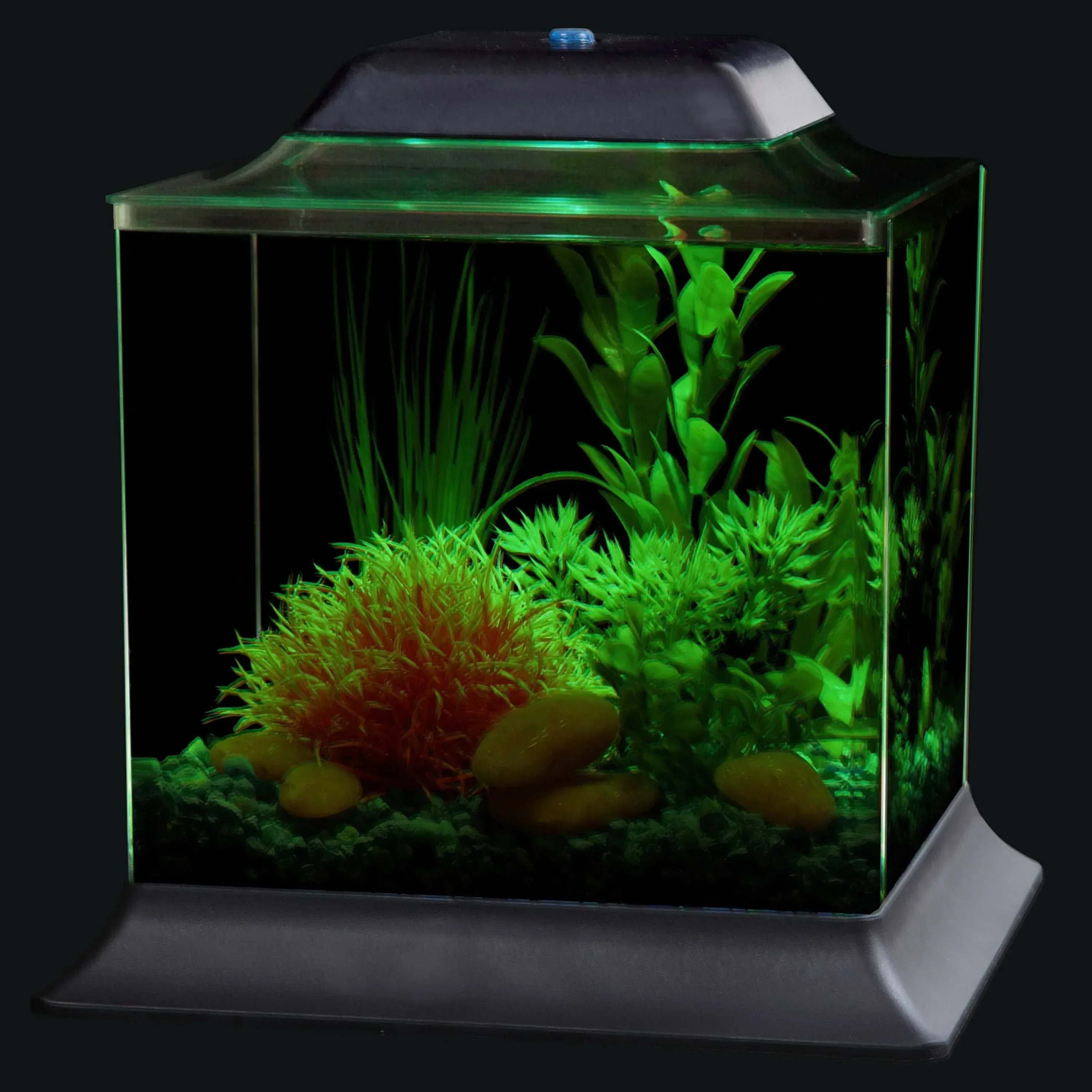 KollerCraft 1.5-Gallon Betta Fish Aquarium Kit - Image 4