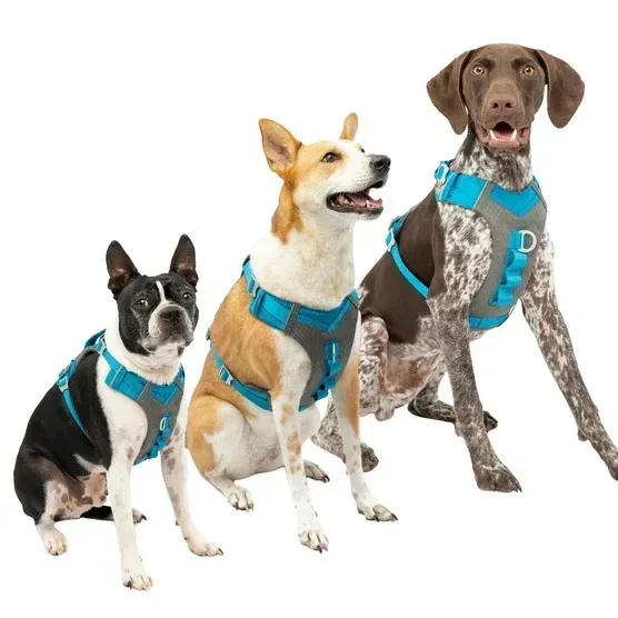 Kurgo Journey Air Harness and Quantum 6-in1 Leash Bundle - Image 2