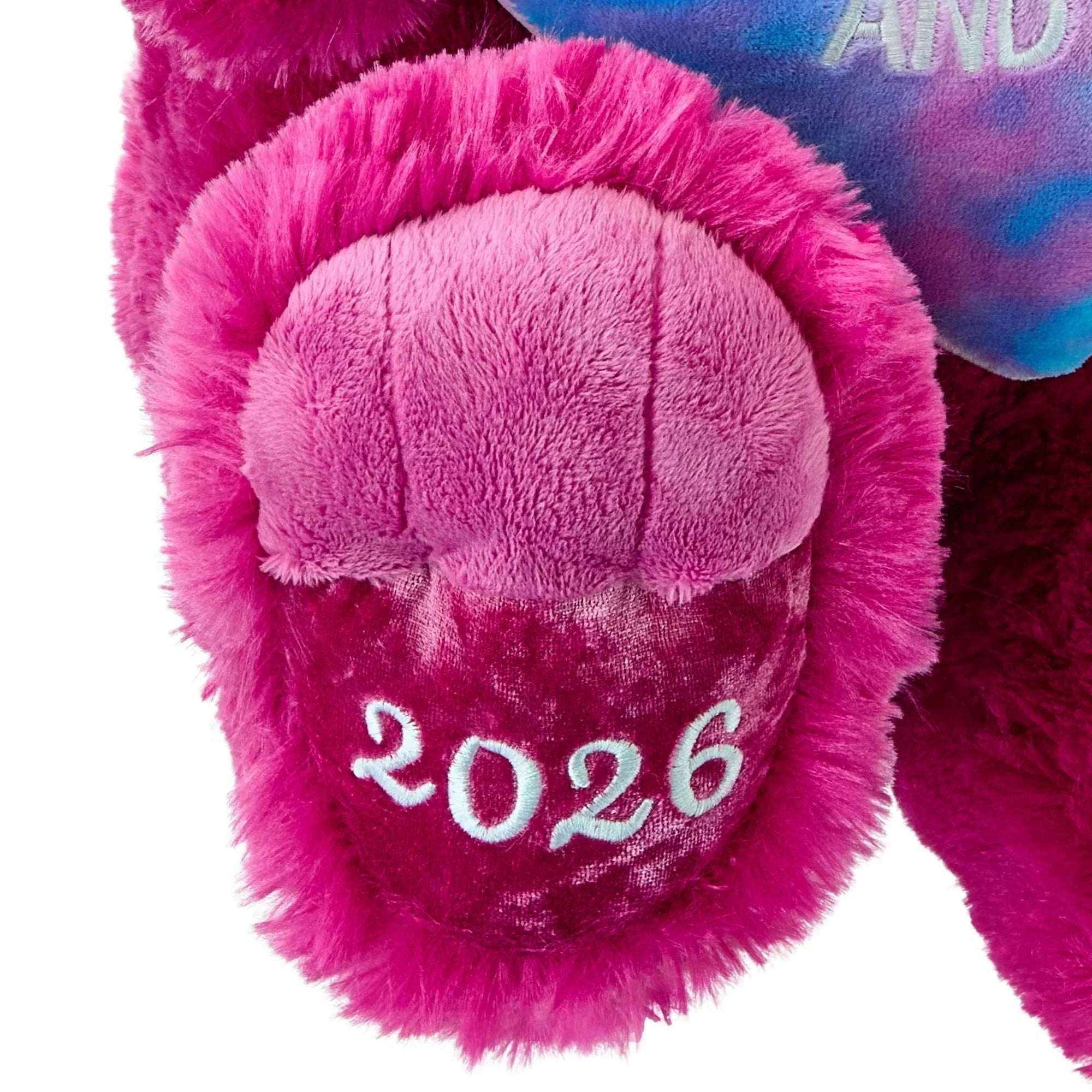Large Sweetheart To the Moon and Back Teddy Bear Plush, Pink, 21", Valentine's Day by Way To Celebrate - Image 3