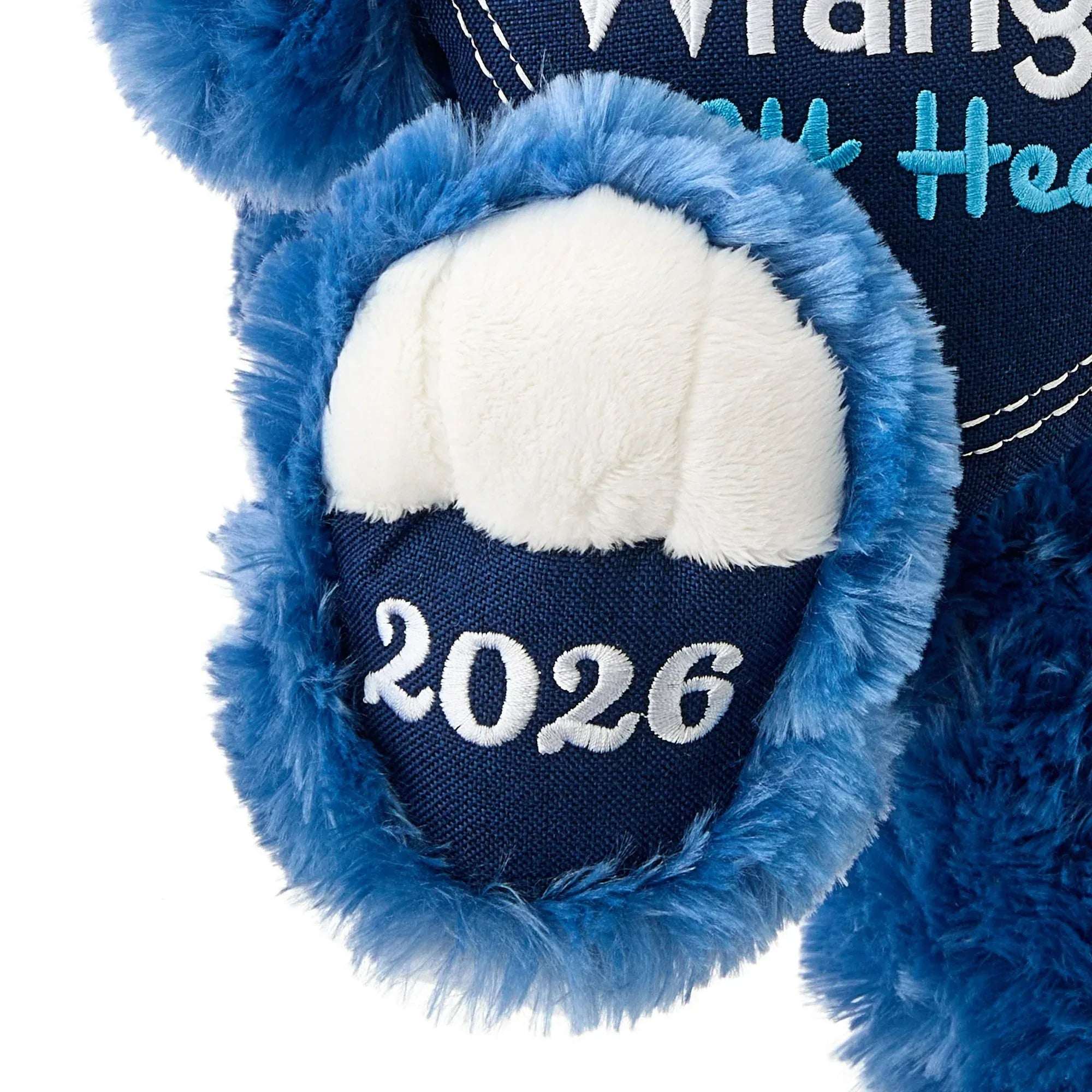 Large Sweetheart You Wrangled My Heart Teddy Bear Plush, Blue, 21", Valentine's Day by Way To Celebrate - Image 3