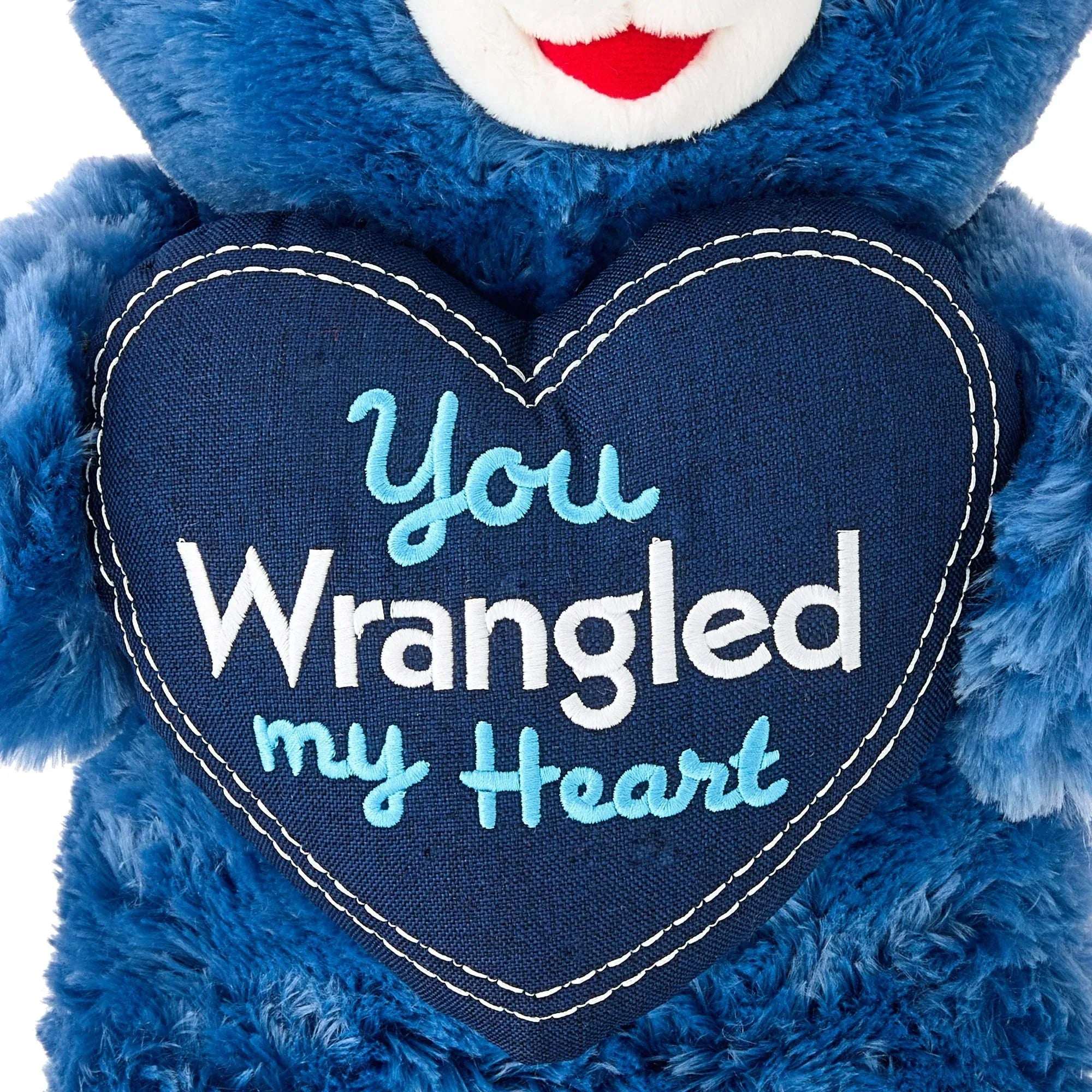 Large Sweetheart You Wrangled My Heart Teddy Bear Plush, Blue, 21", Valentine's Day by Way To Celebrate - Image 4