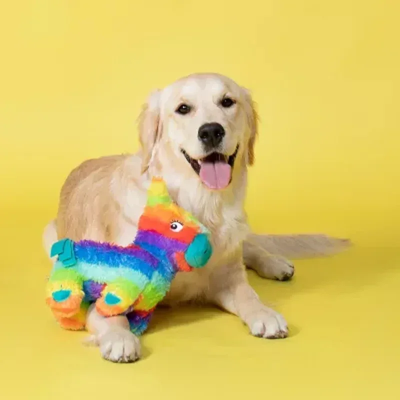 Let'S Pawty Birthday Box Dog Toy Bundle, 5-Piece Set (White) - Image 5