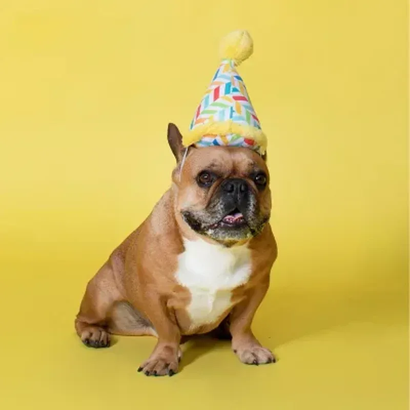 Let'S Pawty Birthday Box Dog Toy Bundle, 5-Piece Set (White) - Image 6