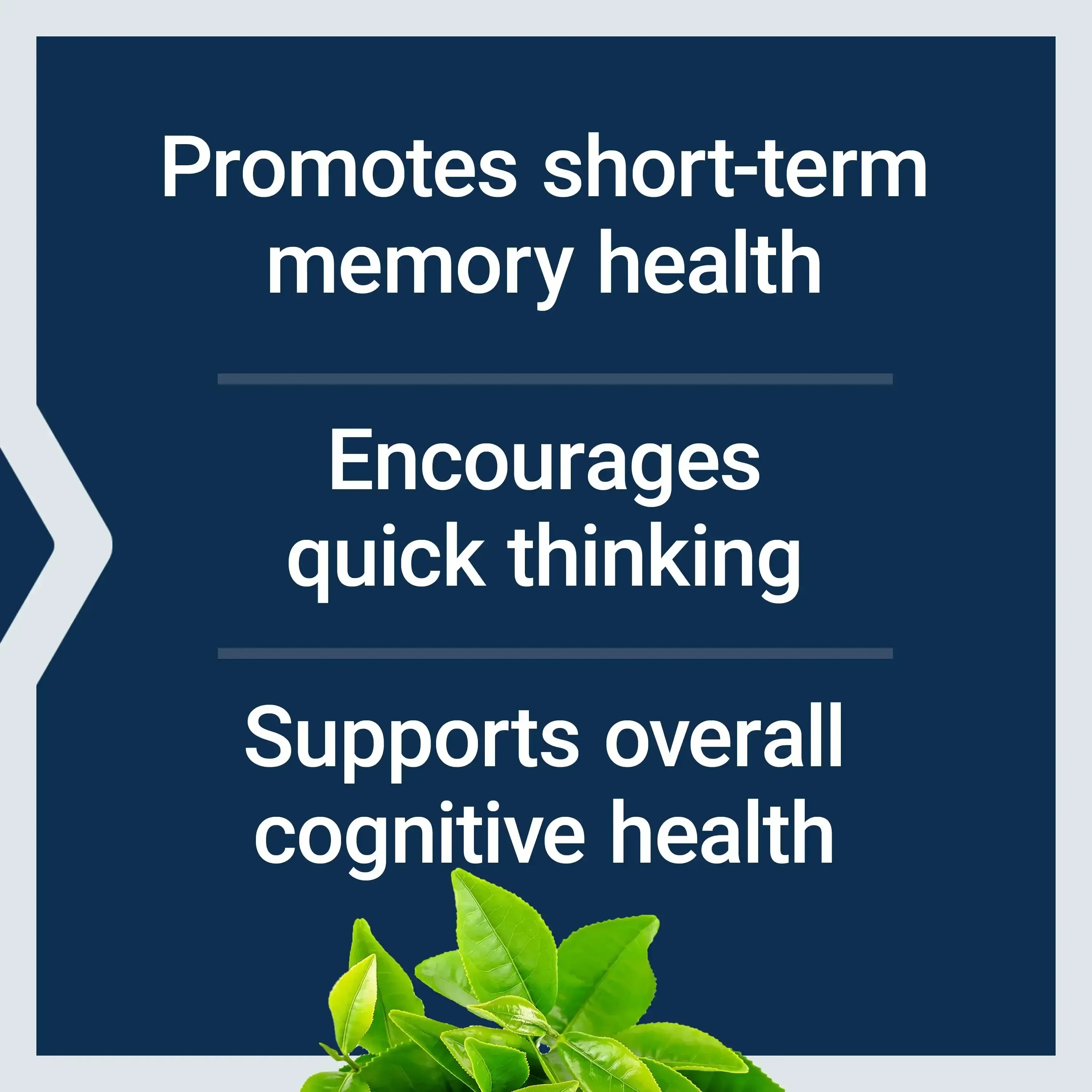 Life Extension, Neuro-Mag®, Magnesium L-Threonate, 90 Vegetarian Capsules (48 mg per Capsule) - Image 4