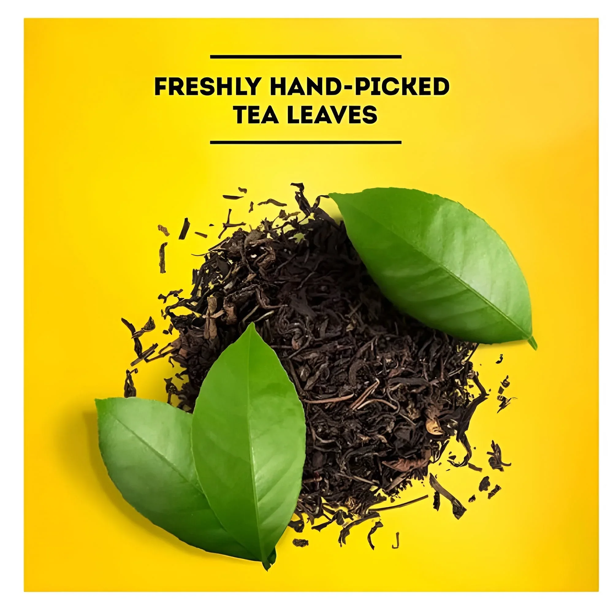 Lipton Iced Tea, Gallon Size Tea Bags (48 ct.) - Image 5