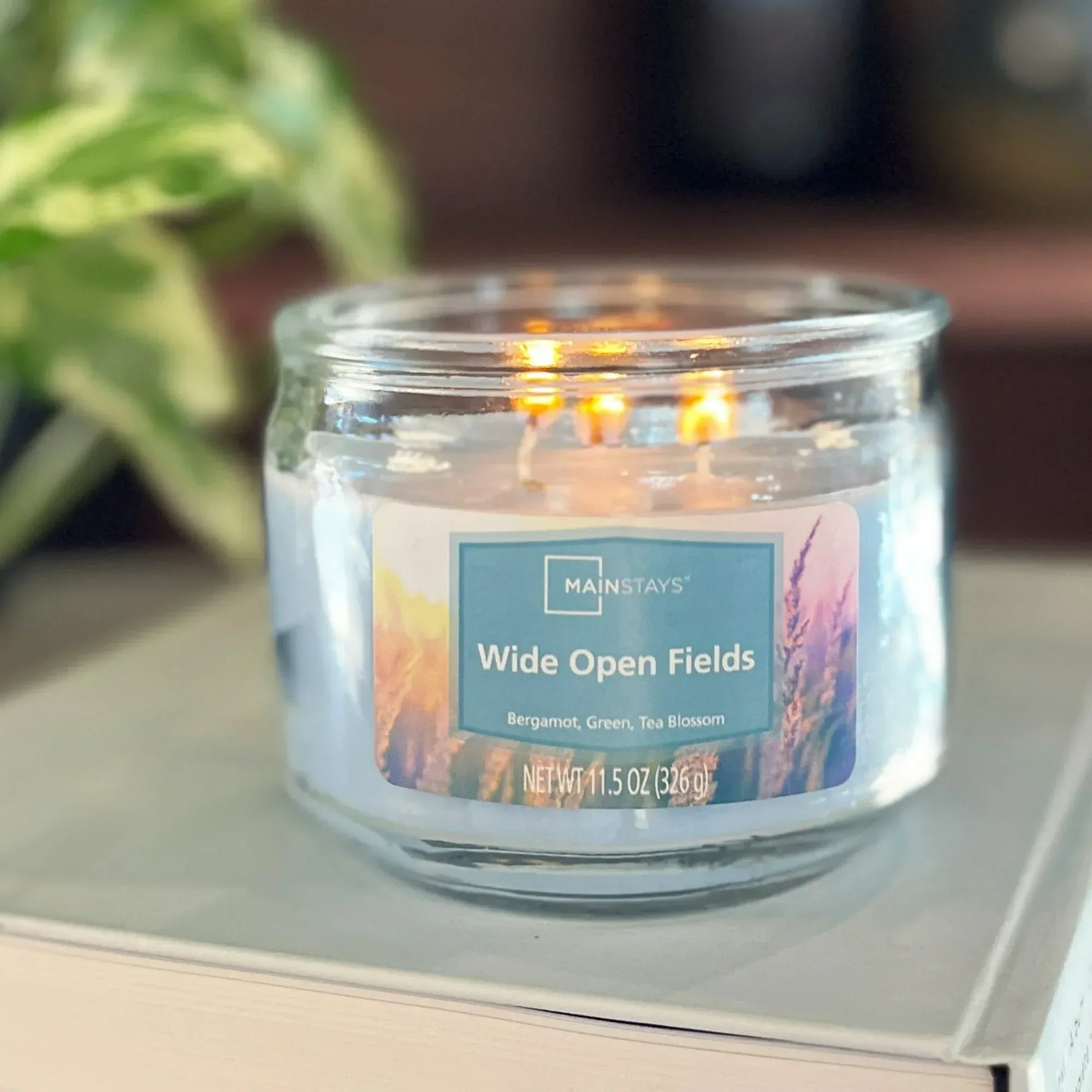 Mainstays 3-Wick Glass Jar Candle, Wide Open Fields, Corydalis Blue, 11.5 oz - Image 2