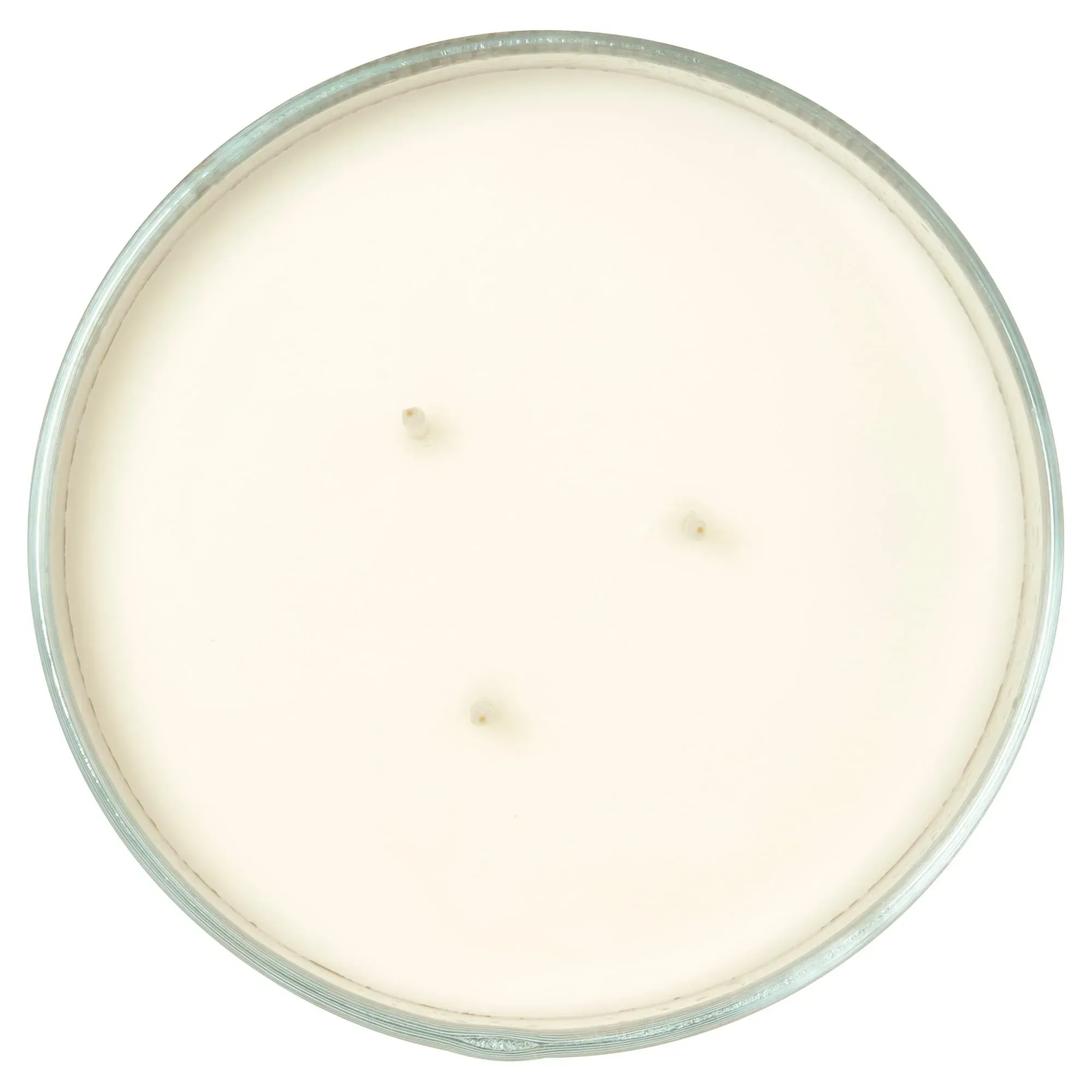 Mainstays 3-Wick Textured Wrapped Cranberry Mandarin Scented Candle, 14 oz - Image 5