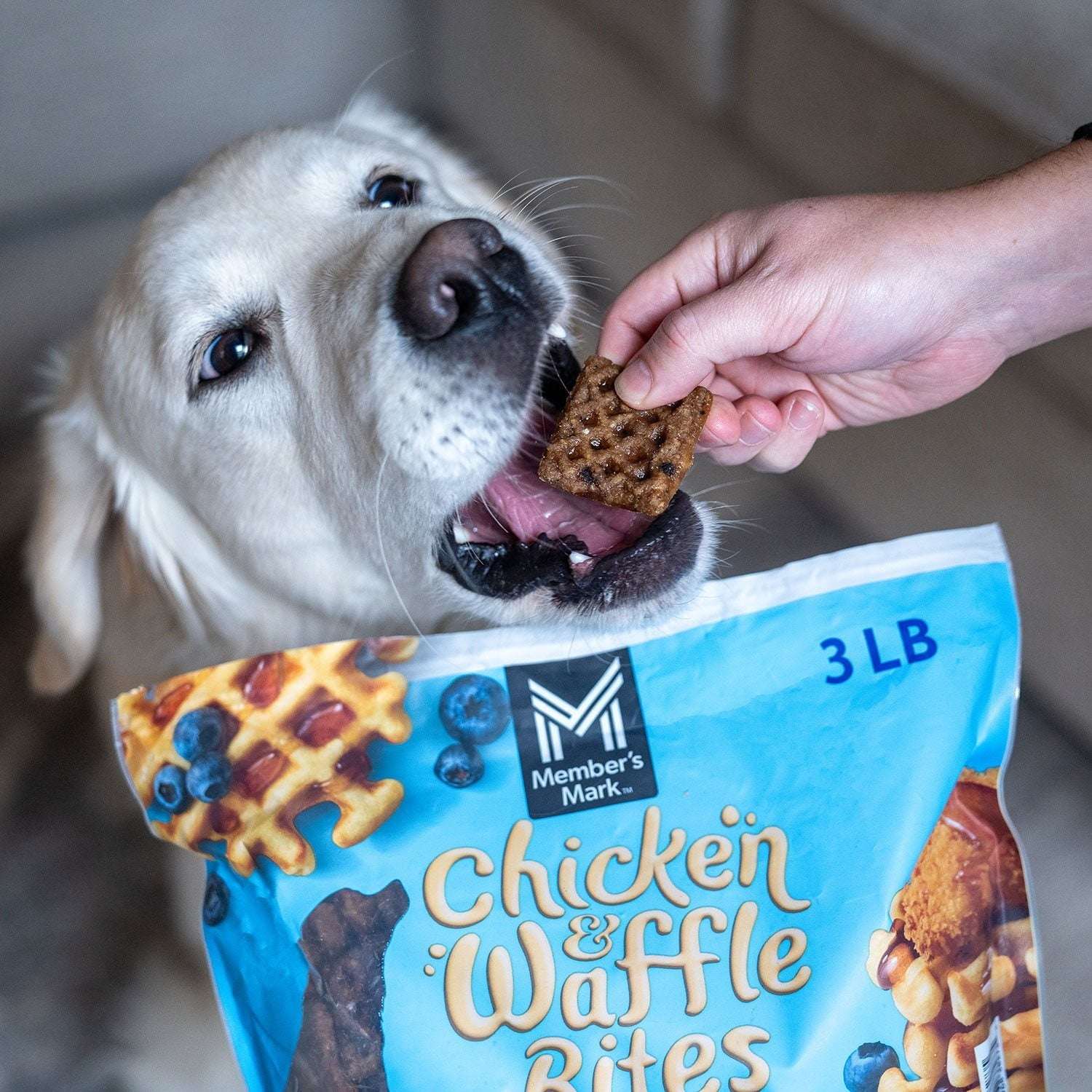 Member's Mark Chicken & Waffle Bites Chicken Recipe Dog Treats, 48 oz. - Image 3