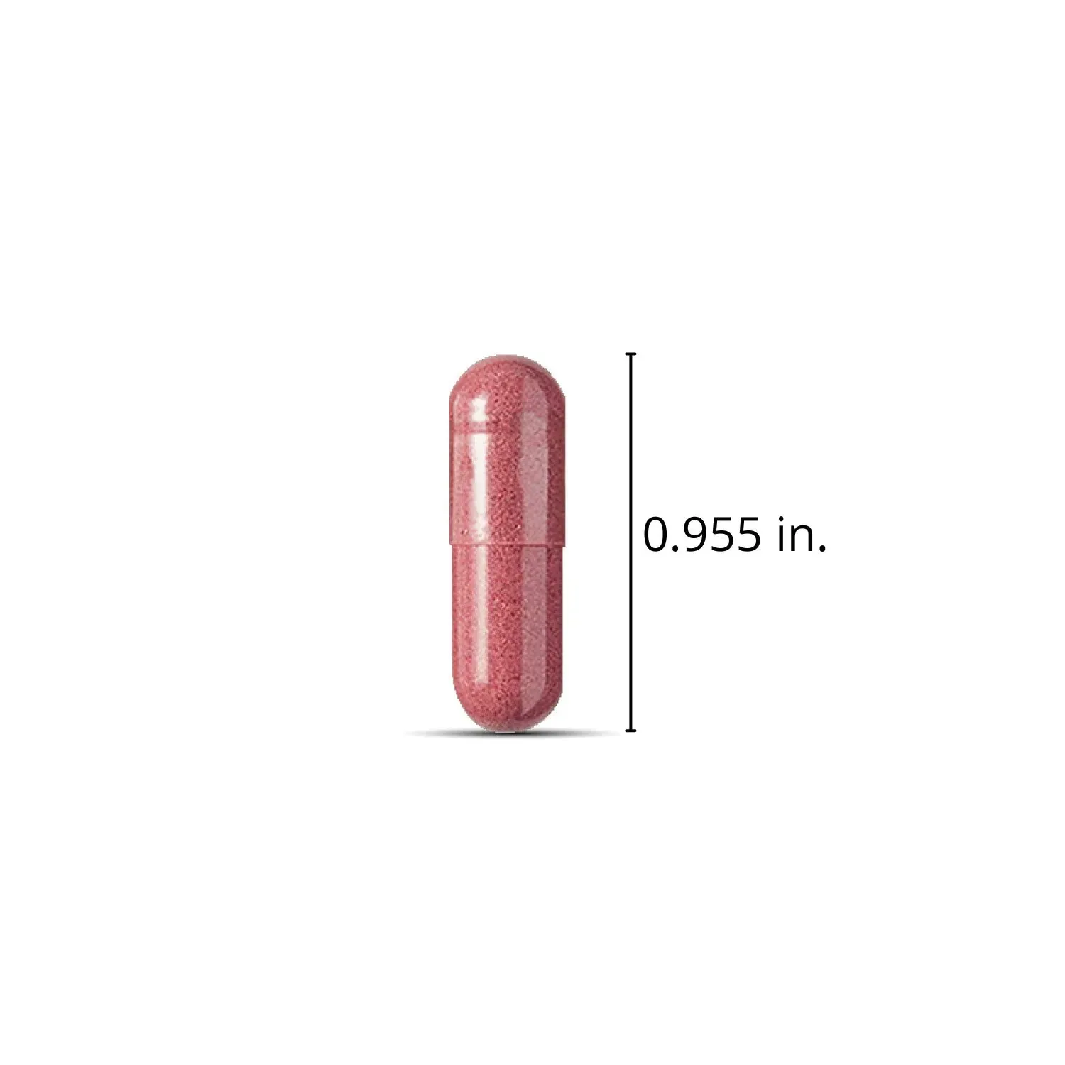 Member's Mark Clinical Strength Cranberry Capsules, 500 mg, 150 ct. - Image 3