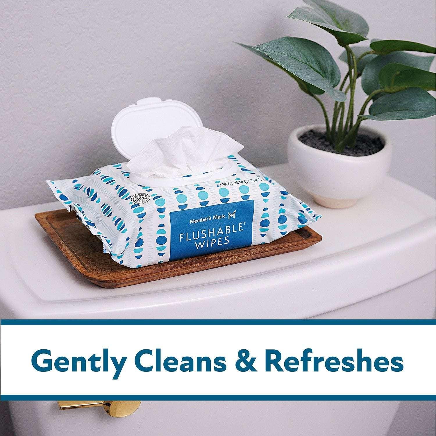 Member's Mark Flushable Wipes, Fresh Scent, 540 ct. - Image 7