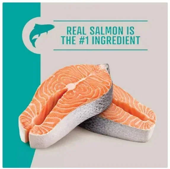 Member's Mark Grain Free Salmon and Sweet Potato Dry Dog Food, 30 lbs. - Image 4