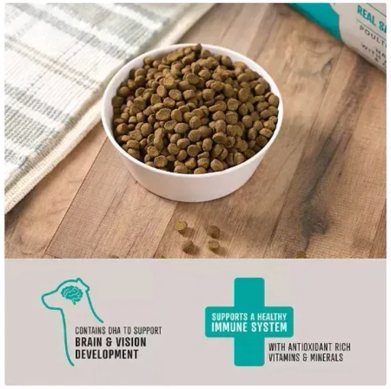 Member's Mark Grain Free Salmon and Sweet Potato Dry Dog Food, 30 lbs. - Image 5