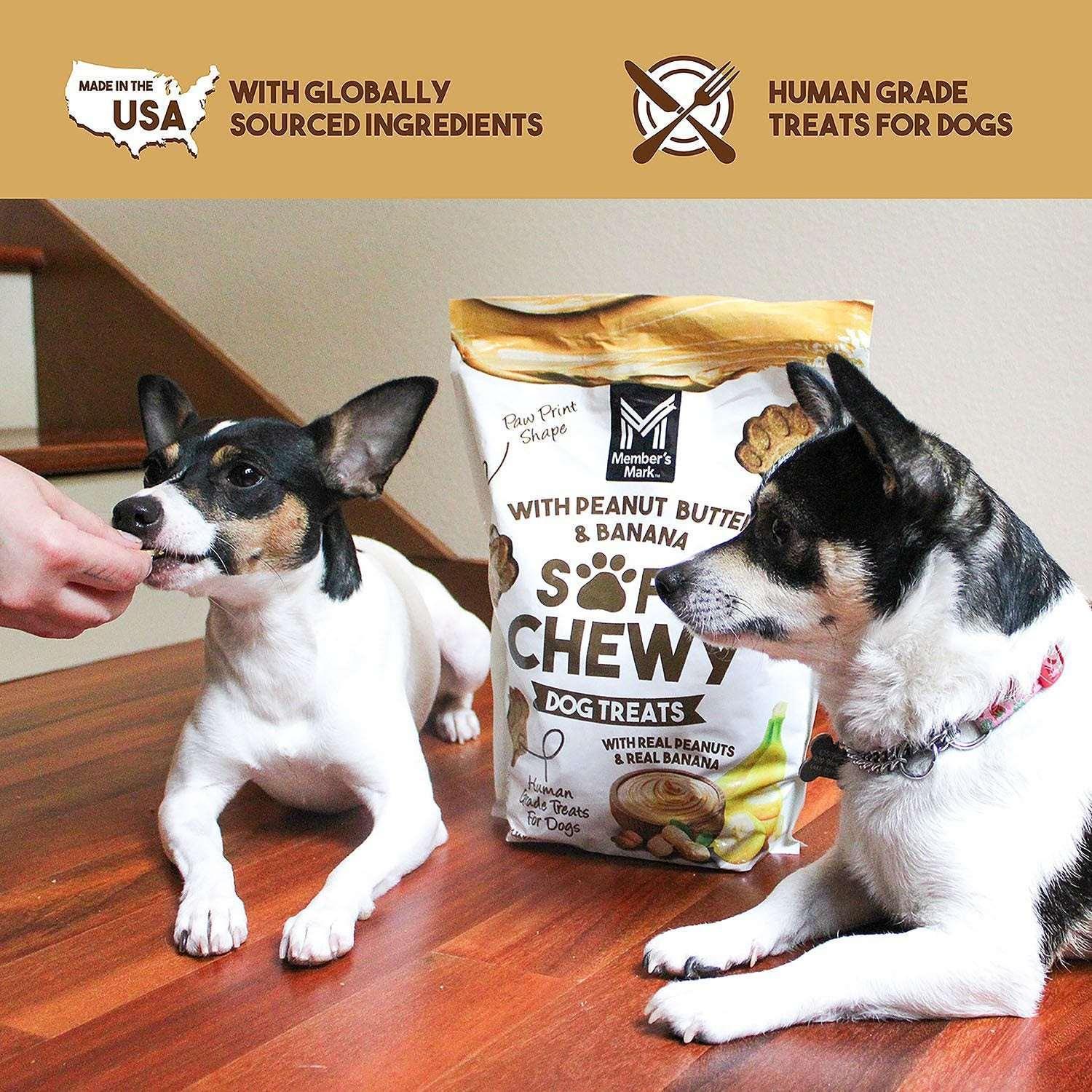 Member's Mark Peanut Butter & Banana Soft & Chewy Dog Treats, 3 lbs. - Image 9