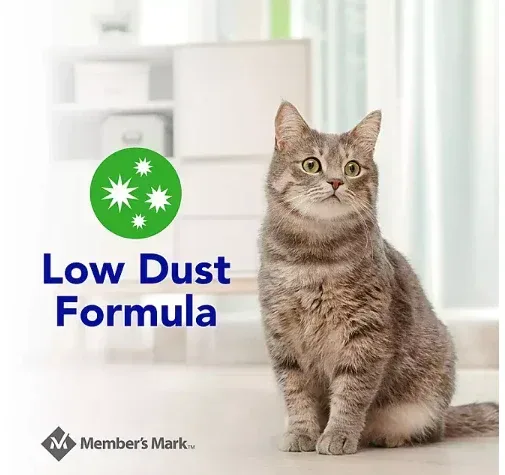 Member's Mark Scoopable Clumping Cat Litter, Fresh Clean Scent, 42 lb. - Image 3