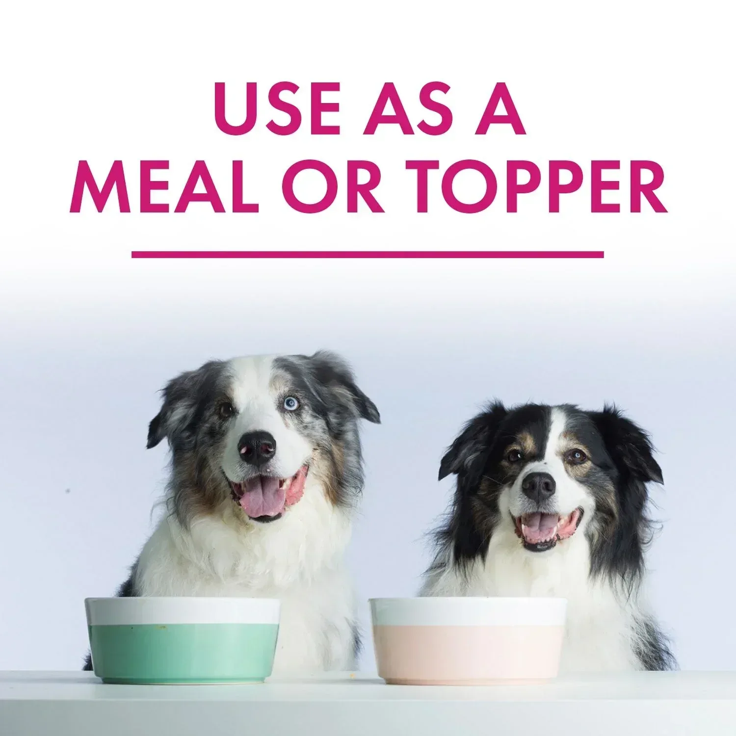 Member's Mark Turkey Stew with Vegetables Wet Dog Food, 11 oz., 24 boxes - Image 4