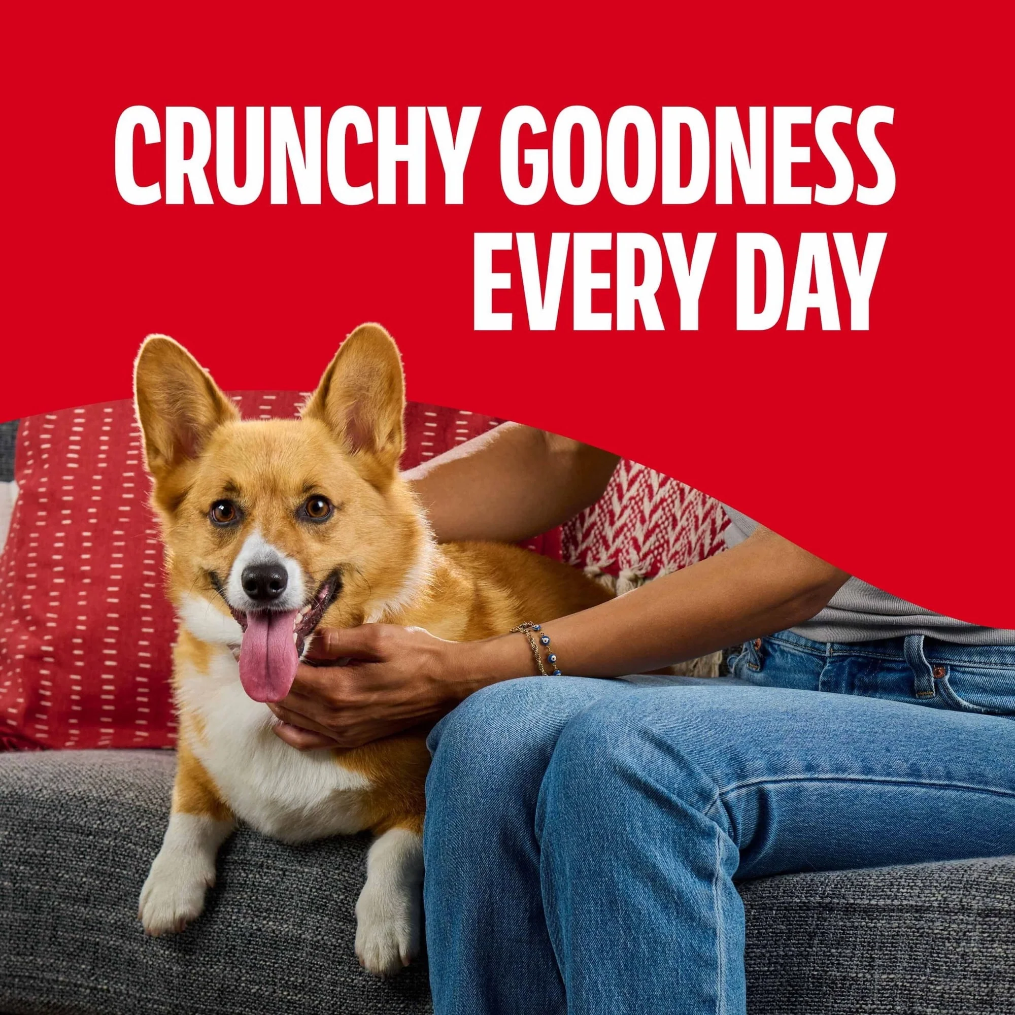 Milk Bone Flavor Snacks Mini’s Dog Biscuits, Flavored Crunchy Dog Treats, 36 oz Canister - Image 23
