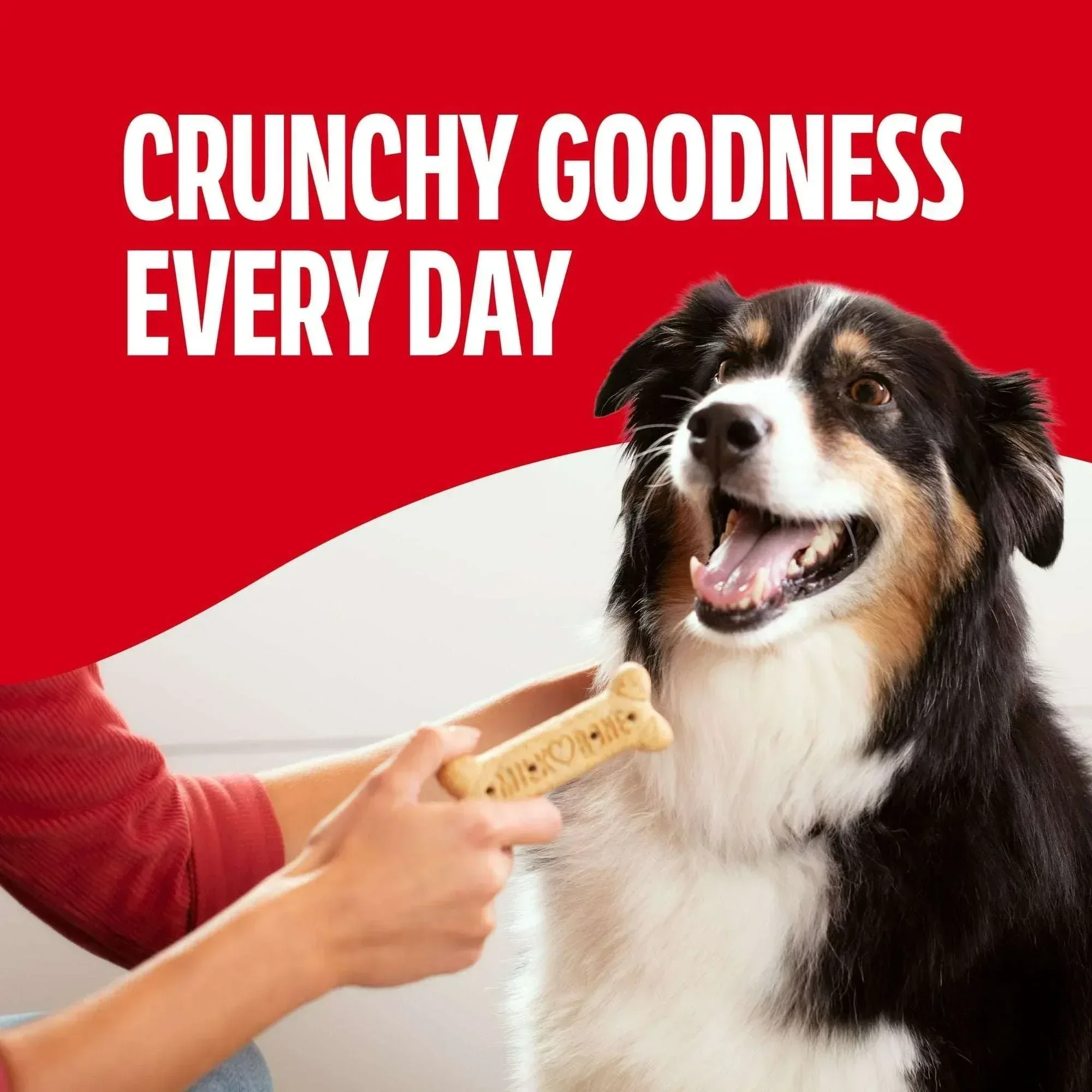 Milk Bone Original Biscuits, Large Dog Treats - Image 2