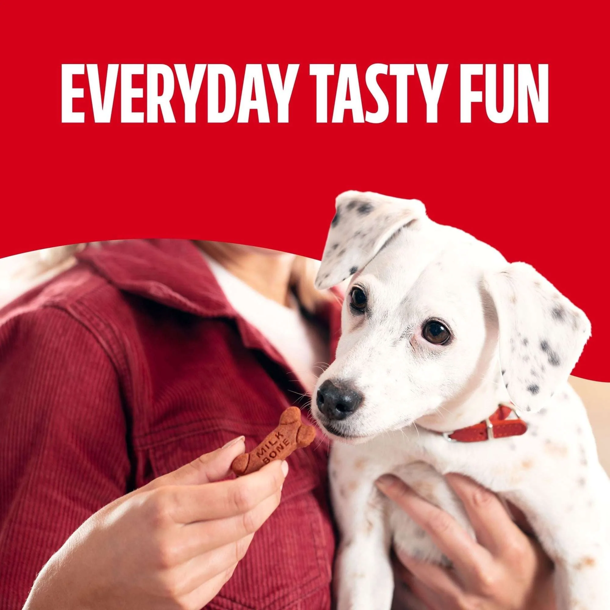 Milk Bone Soft & Chewy Dog Treats, Made with Real Beef & Filet Mignon, 25 oz Canister - Image 6