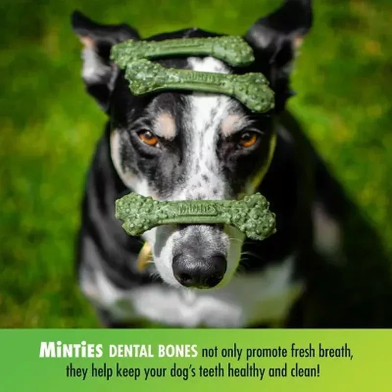Minties Dental Dog Treats (40 Ct.) - Image 7