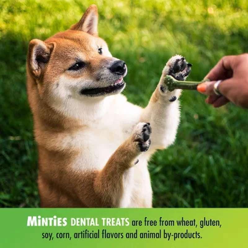 Minties Dental Dog Treats (40 Ct.) - Image 9