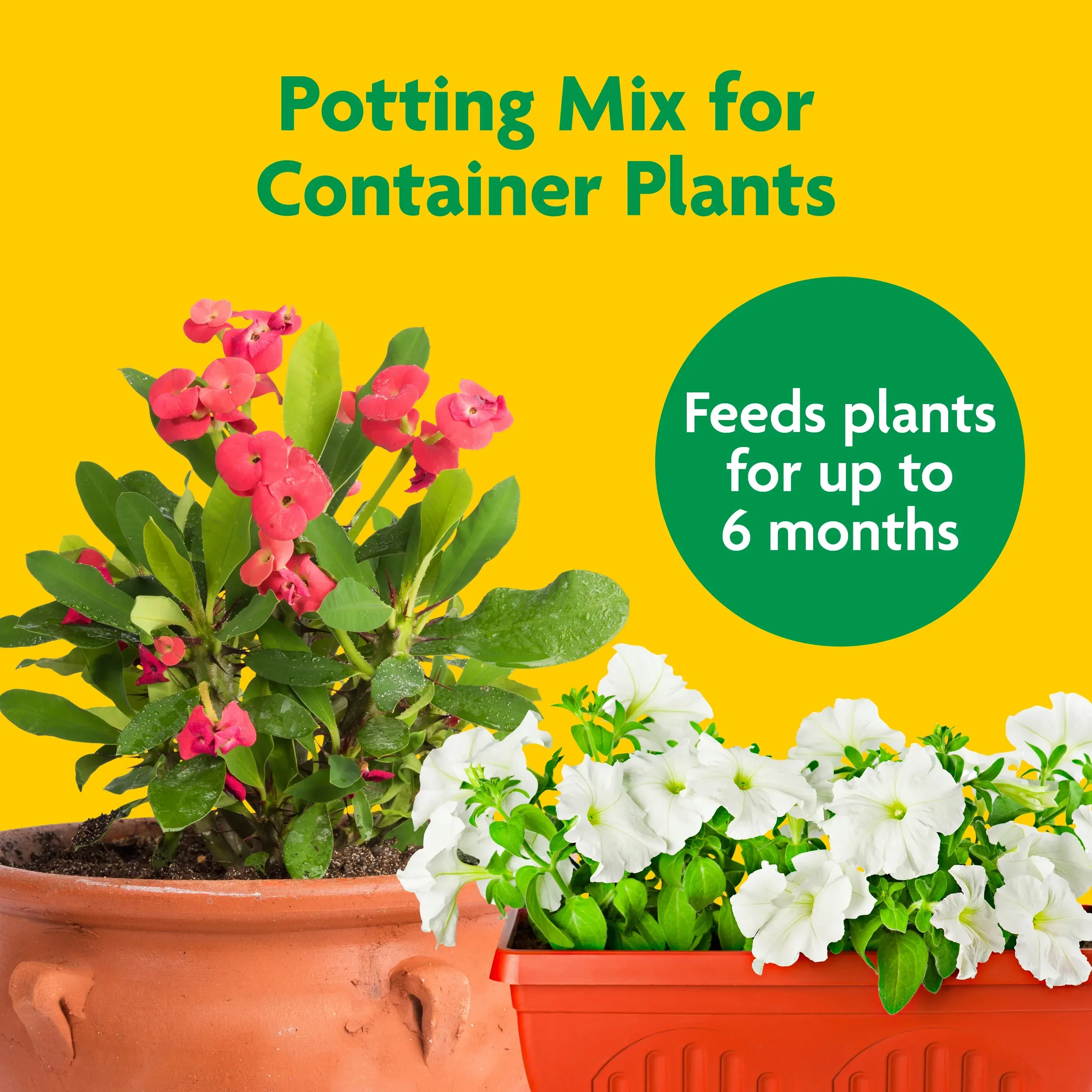 Miracle-Gro Potting Mix, For Indoor or Outdoor Potted Plants, Flowers, Shrubs, 8 qt. - Image 3