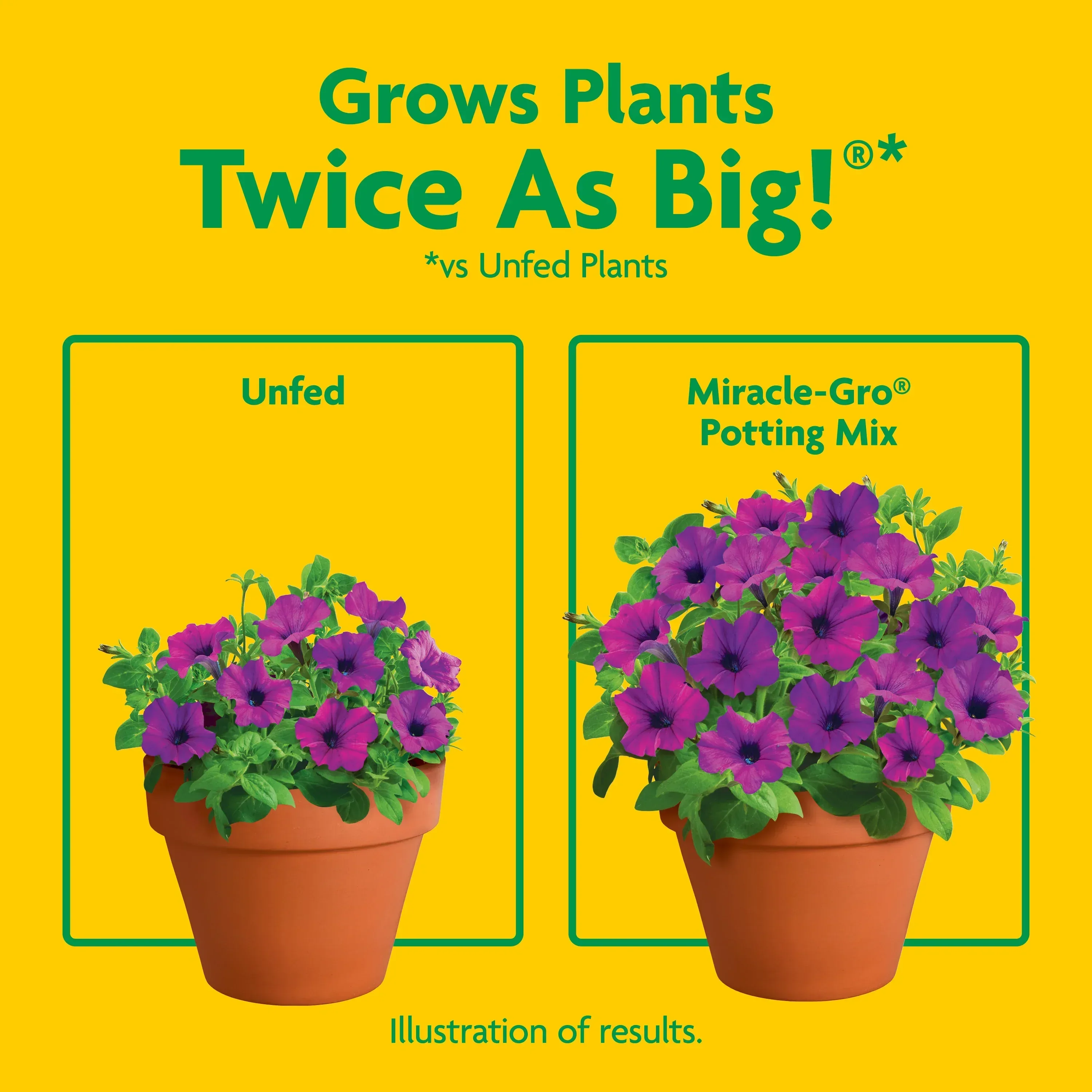 Miracle-Gro Potting Mix, For Indoor or Outdoor Potted Plants, Flowers, Shrubs, 8 qt. - Image 5