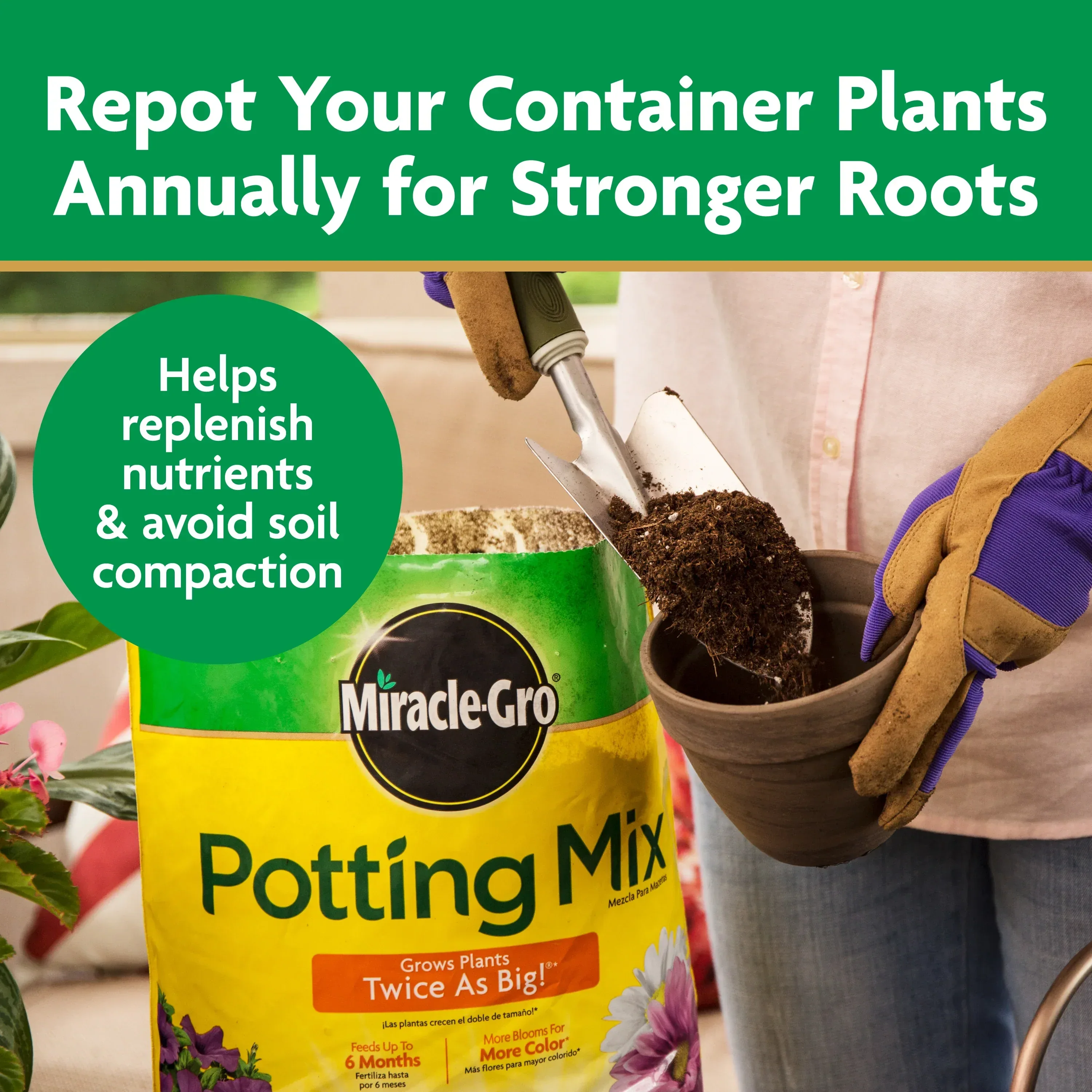 Miracle-Gro Potting Mix, For Indoor or Outdoor Potted Plants, Flowers, Shrubs, 8 qt. - Image 7