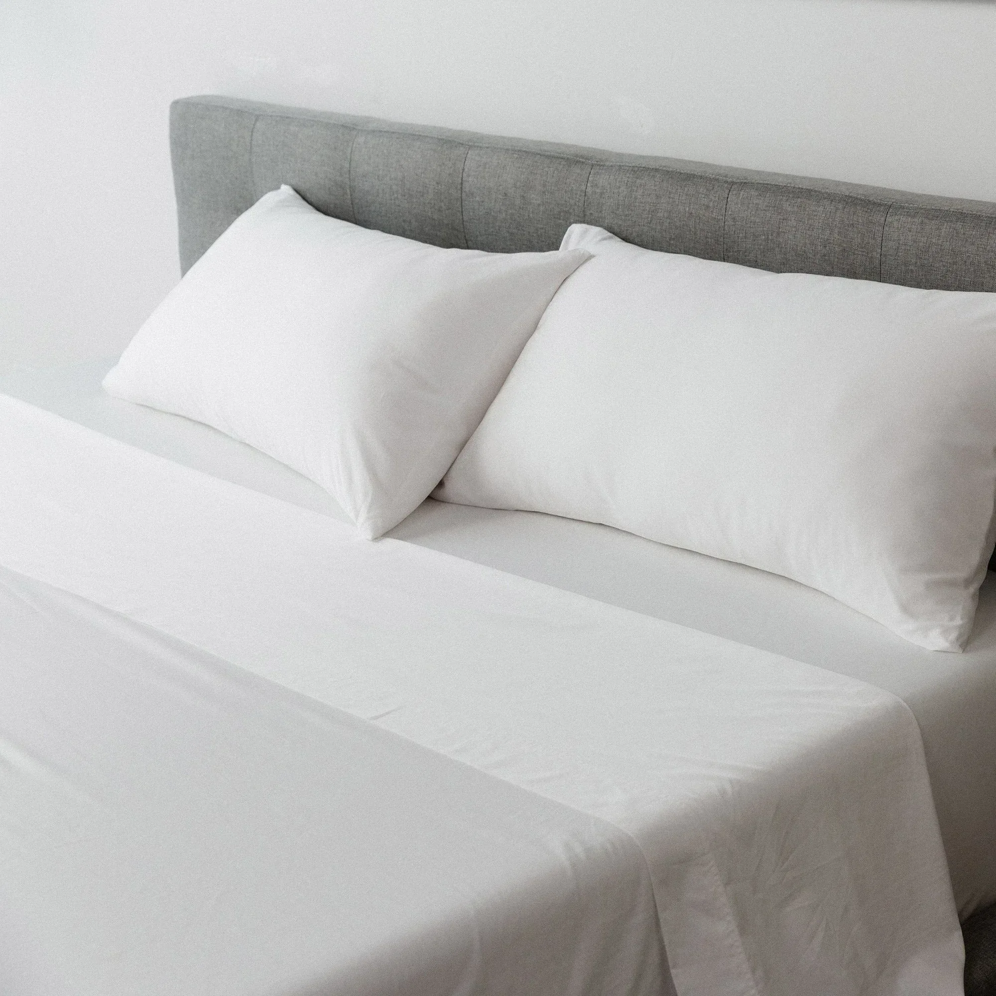 Molecule Performance Sheet Set