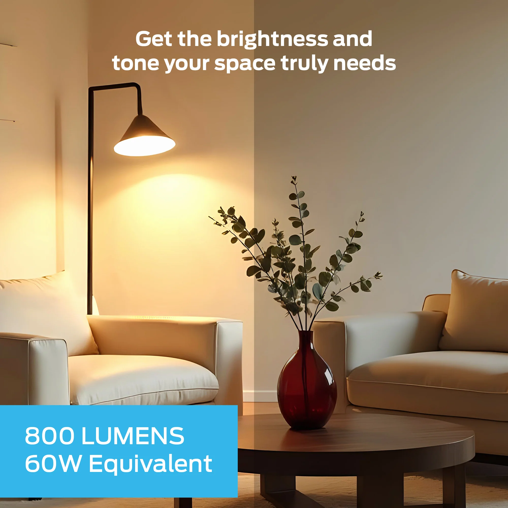 Monster Smart LED Bulb A19 4-Pack, WiFi Color Changing Light Bulbs, 800 Lumens 60W Equivalent, Tunable White 2700K–6500K, App & Voice Control, Alexa Google Home Matter Compatible - Image 5