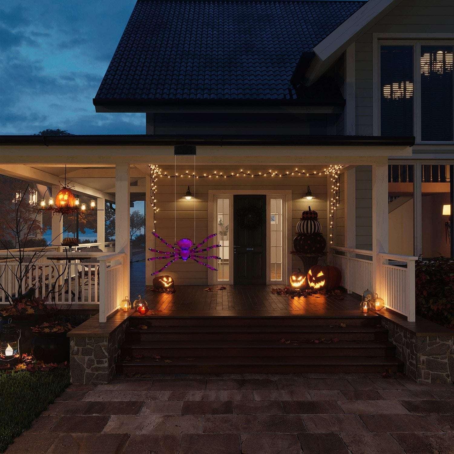 Mr. Halloween Outdoor Rope Climbing Spider - Image 3