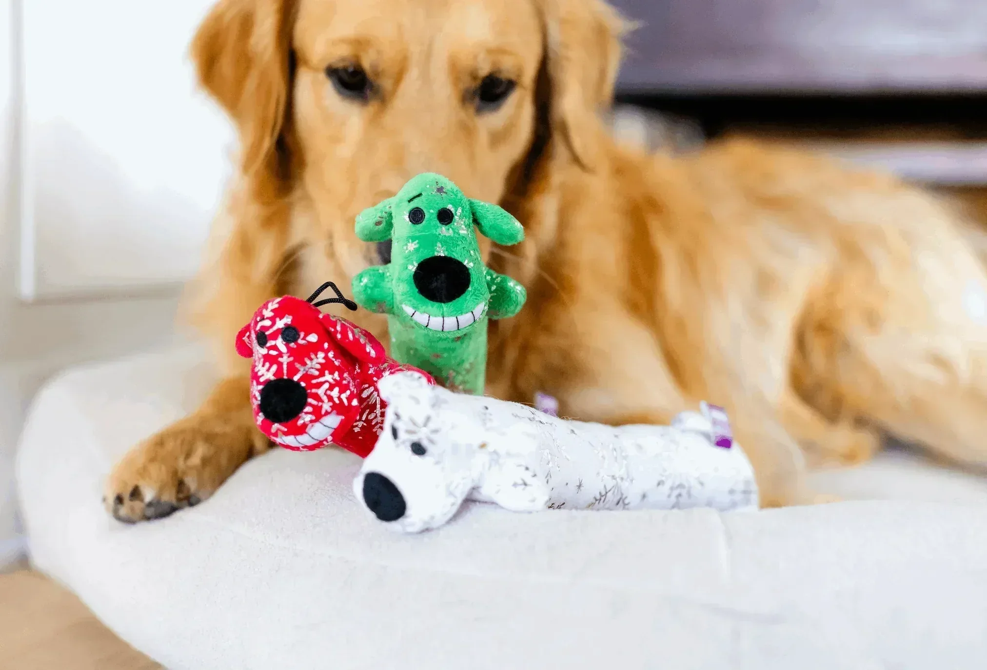 Multipet Plush Holiday Loofa Dog Toy with Sparkly Snowflakes, Stuffing & Squeaker, 3 pack with Red, Green & White, 12" Each - Image 11
