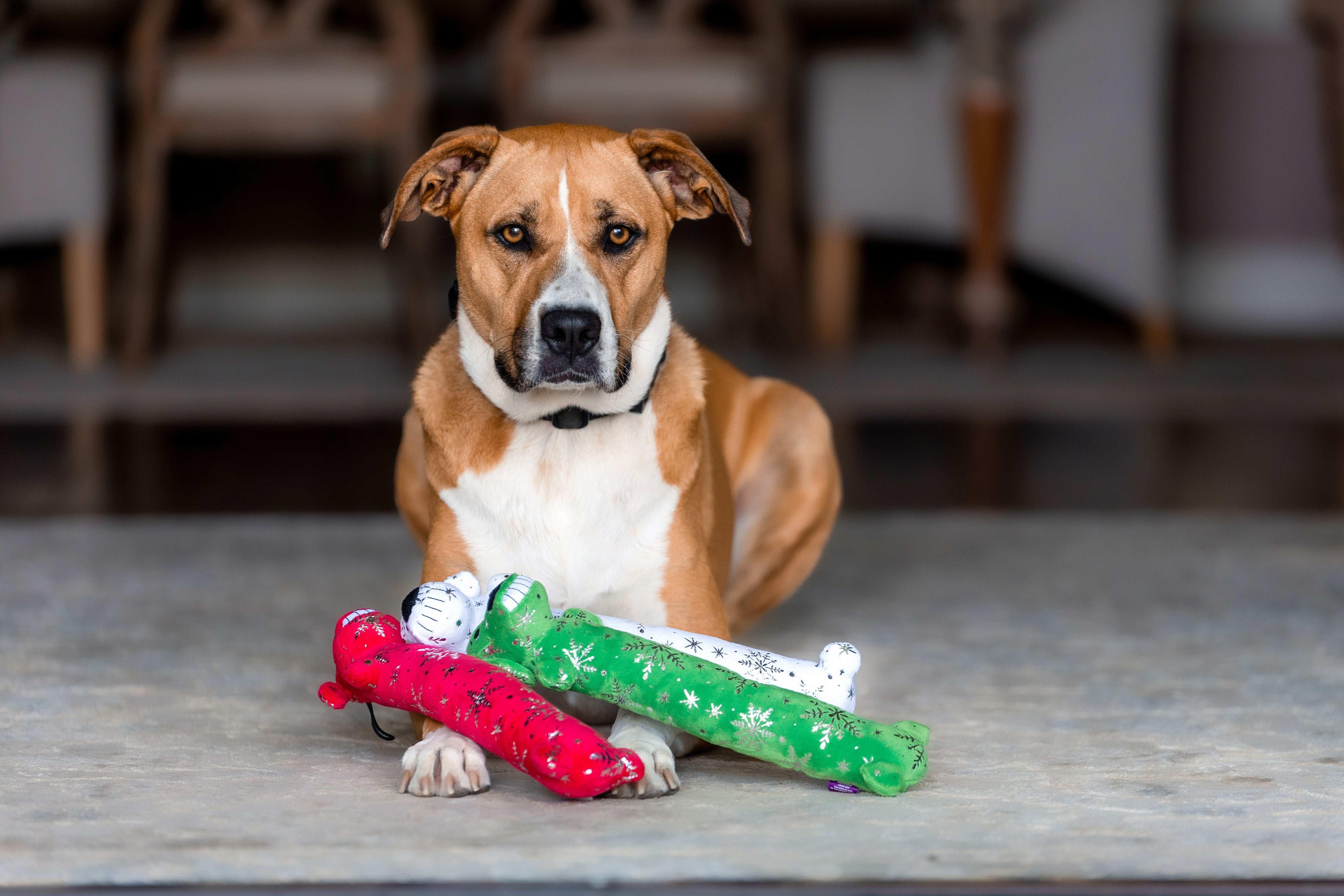 Multipet Plush Holiday Loofa Dog Toy with Sparkly Snowflakes, Stuffing & Squeaker, 3 pack with Red, Green & White, 12" Each - Image 13