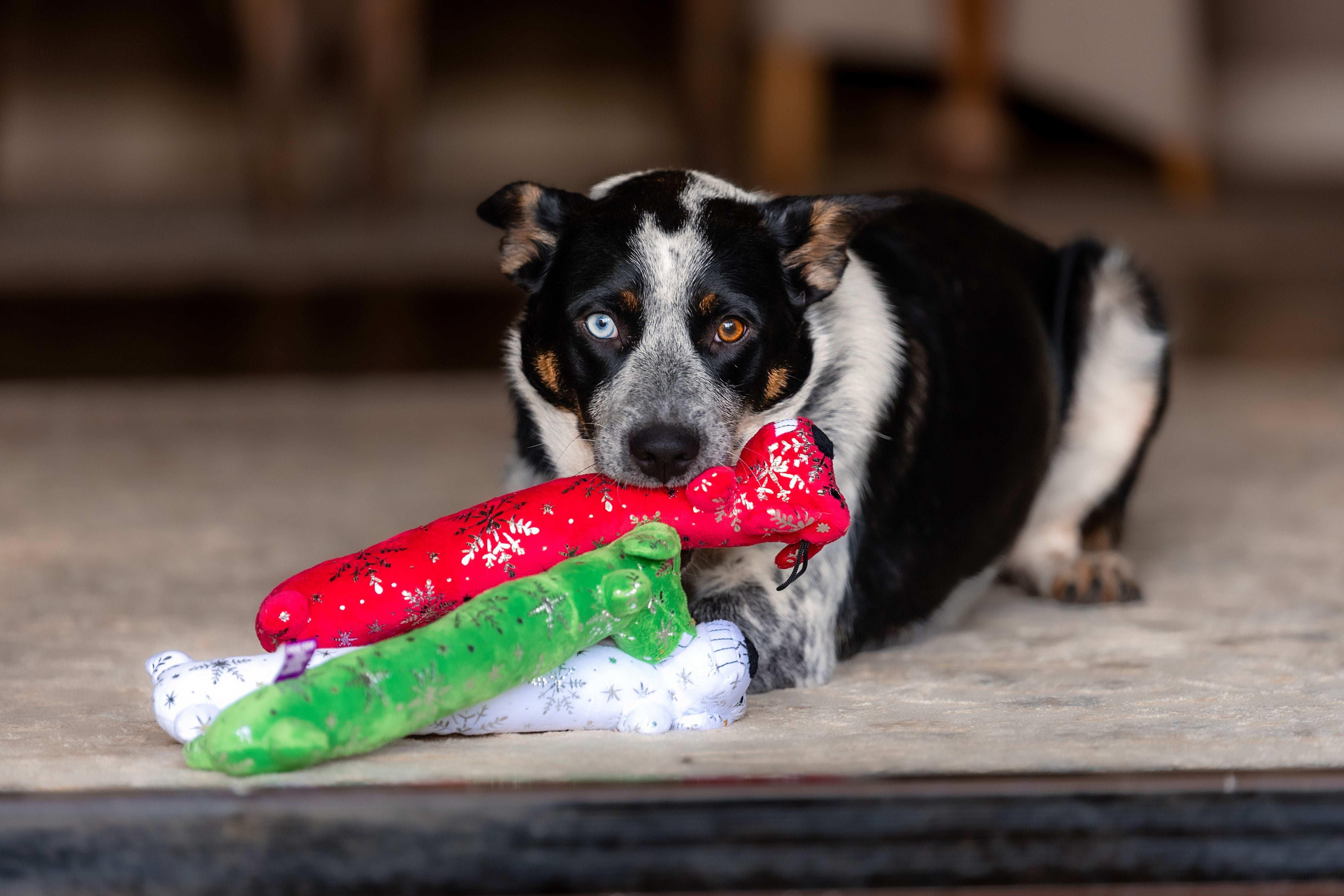 Multipet Plush Holiday Loofa Dog Toy with Sparkly Snowflakes, Stuffing & Squeaker, 3 pack with Red, Green & White, 12" Each - Image 9