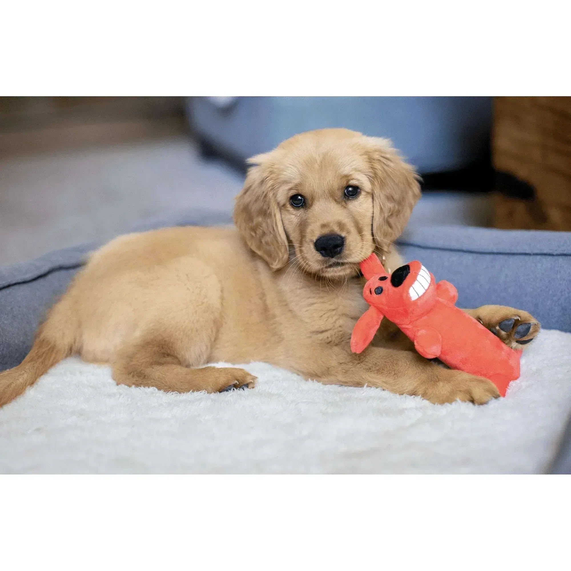 Multipet Smiling Loofa Plush Dog Toy with Squeaker, 6 inch - Image 8