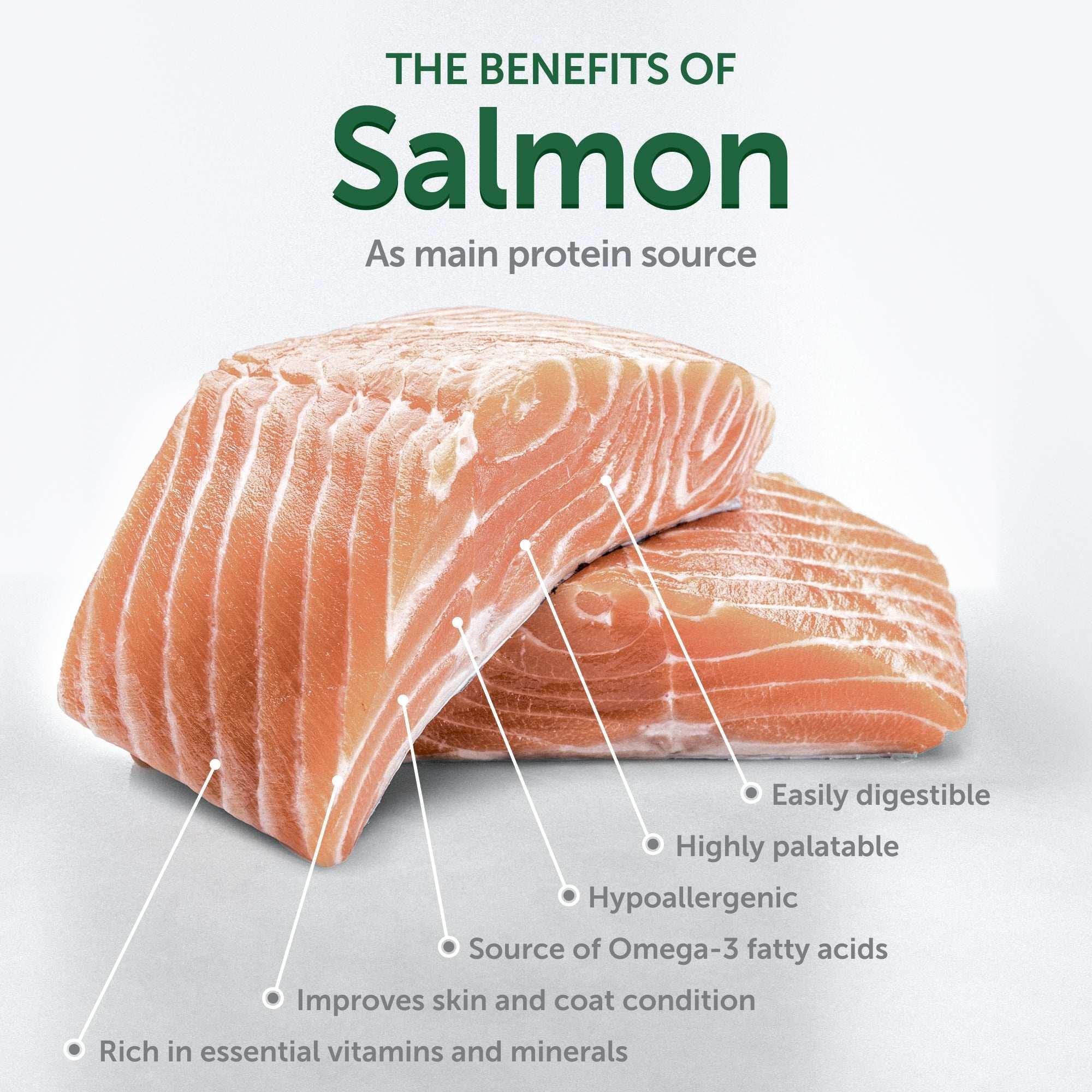 Nature's Protection Superior Care Grain Free Salmon Starter Dry Dog Food, Puppy & Mothers of All Breed, 3.3 lb Bag - Image 2