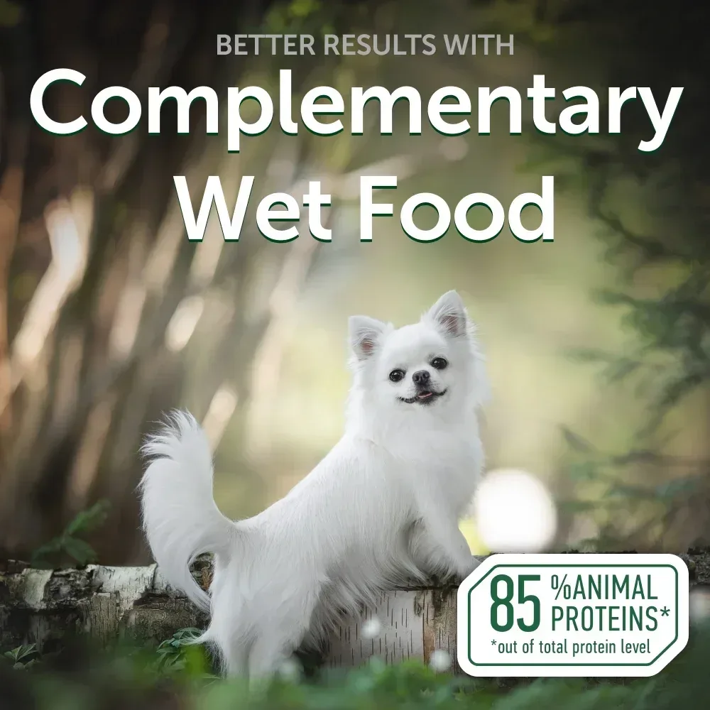 Nature's Protection Superior Care Tuna Fish Topper Wet Dog Food, Adult, 2.46 oz Pouch (24-Pack) - Image 8