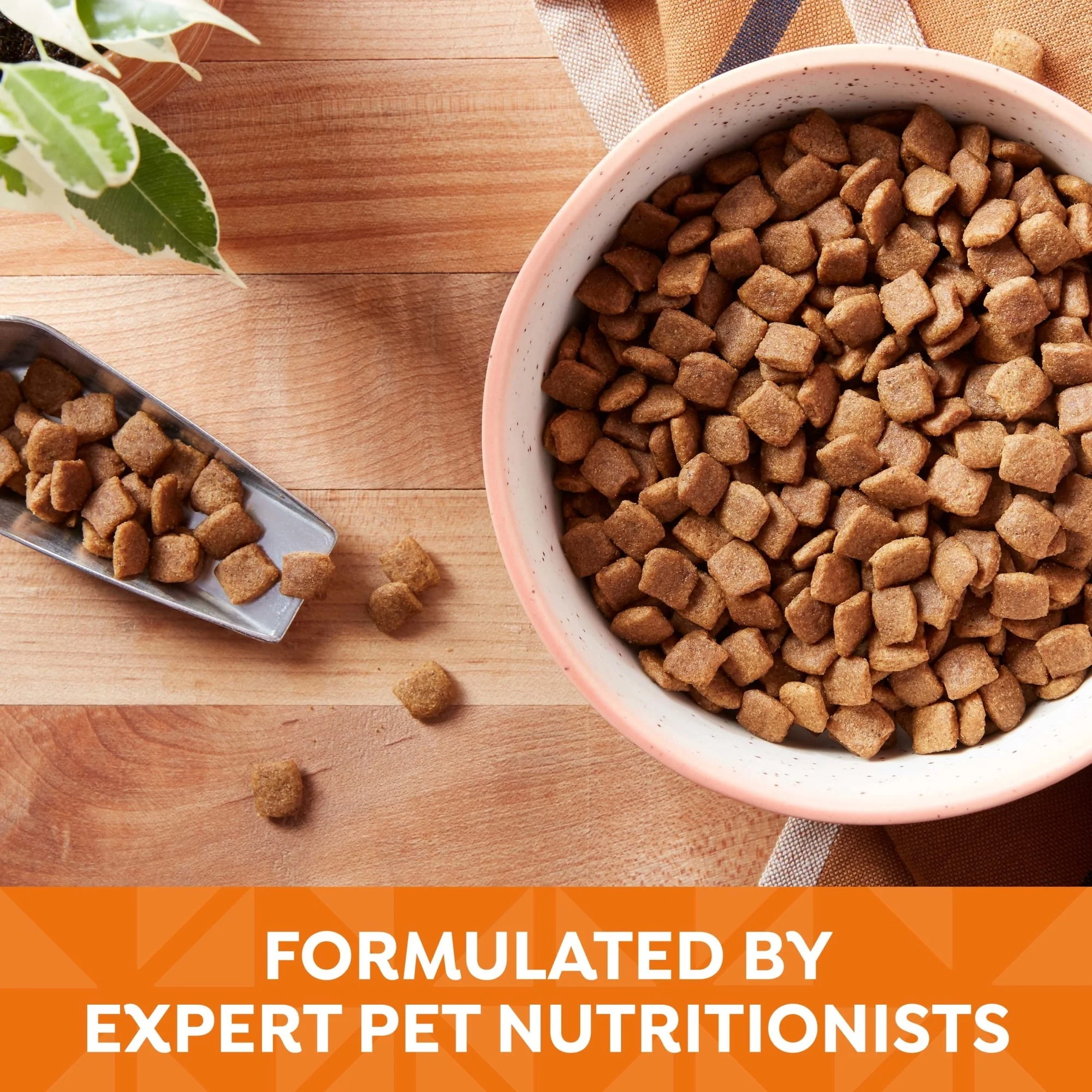 Nature's Recipe Grain Free Chicken, Sweet Potato & Pumpkin Dry Dog Food - Image 2