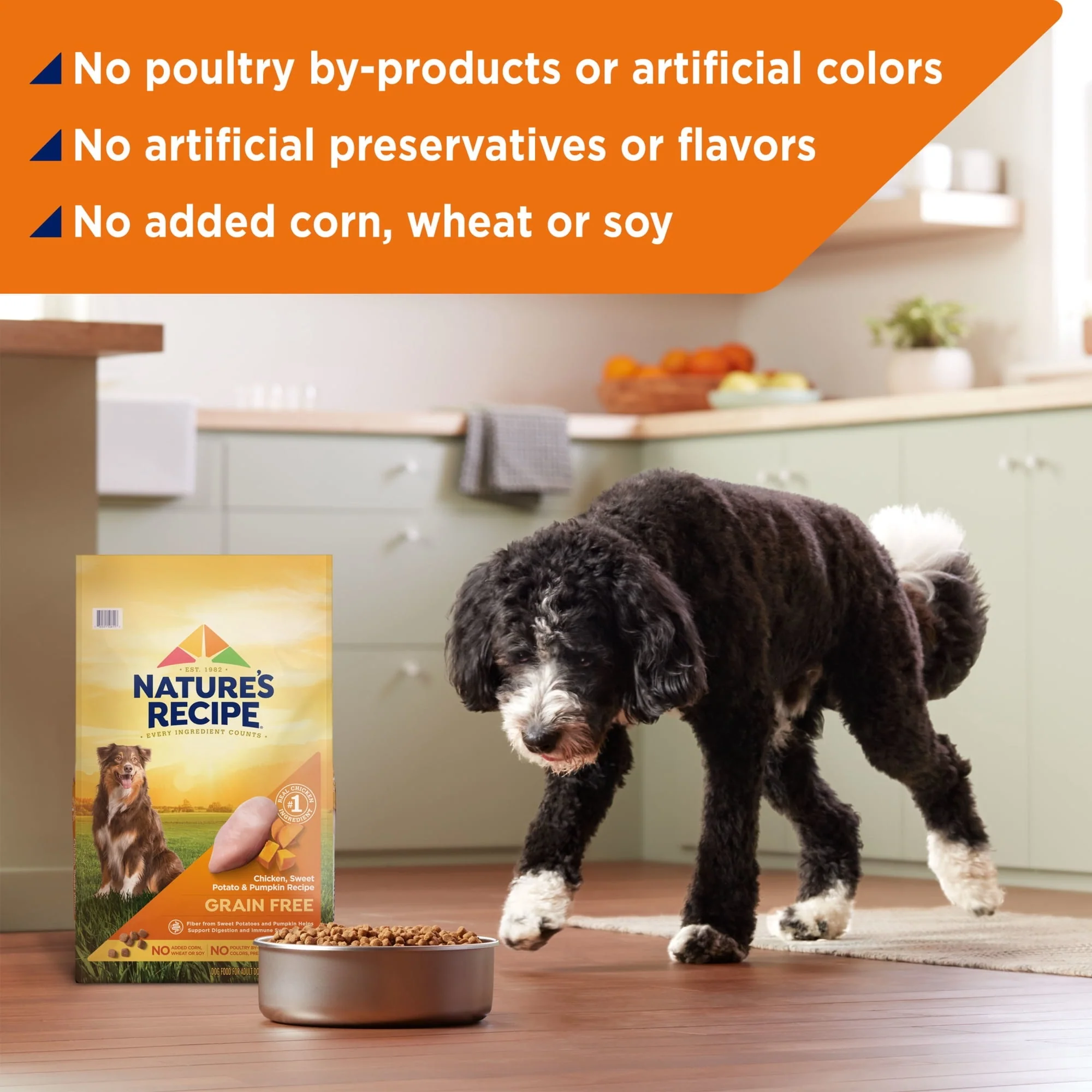 Nature's Recipe Grain Free Chicken, Sweet Potato & Pumpkin Dry Dog Food - Image 3