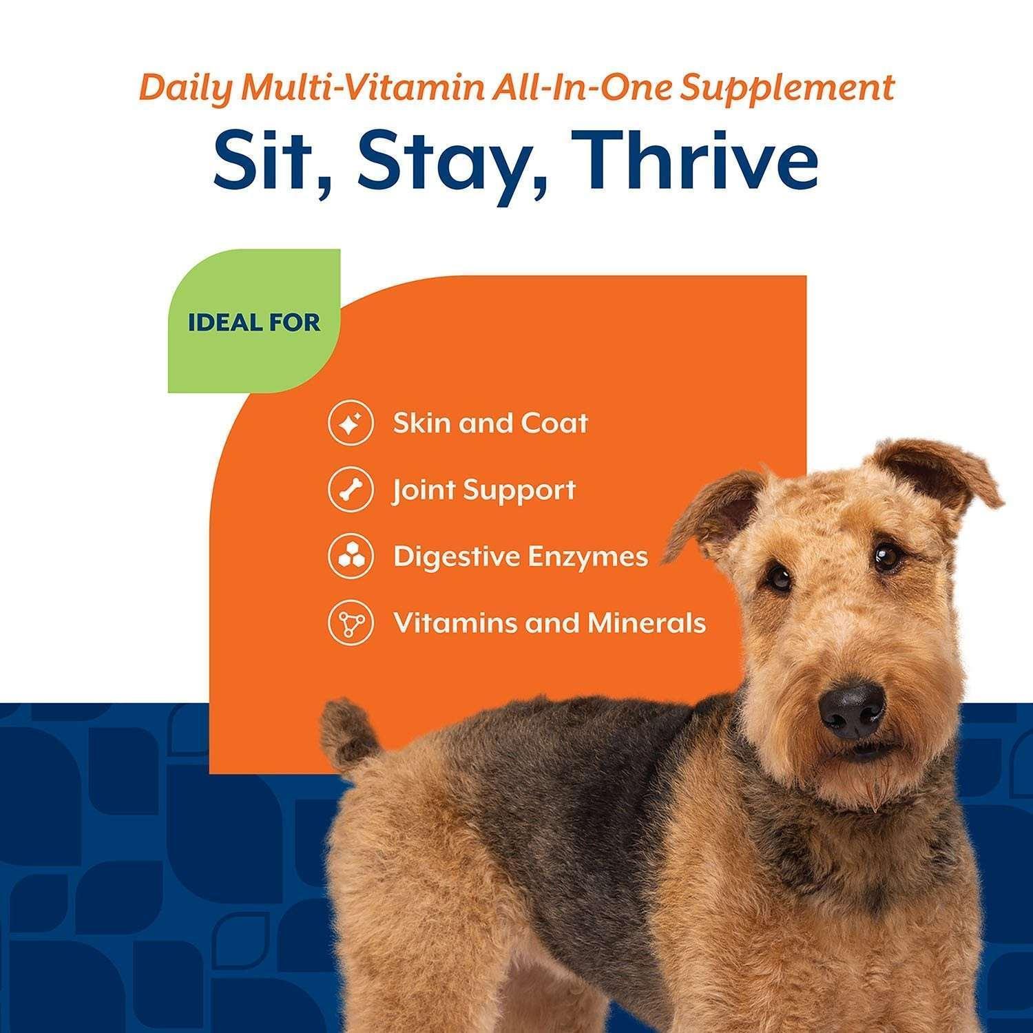 NaturVet Daily Multi-Vitamin All-In-One Supplement for Dogs, 240 ct. - Image 6