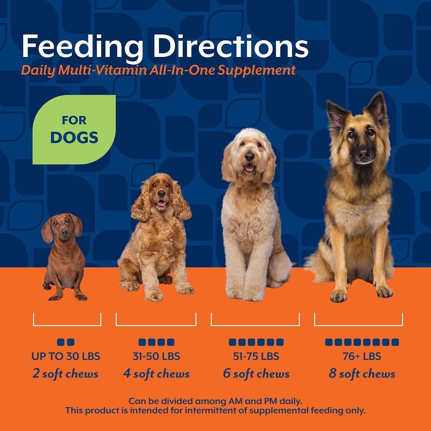 NaturVet Daily Multi-Vitamin All-In-One Supplement for Dogs, 240 ct. - Image 8