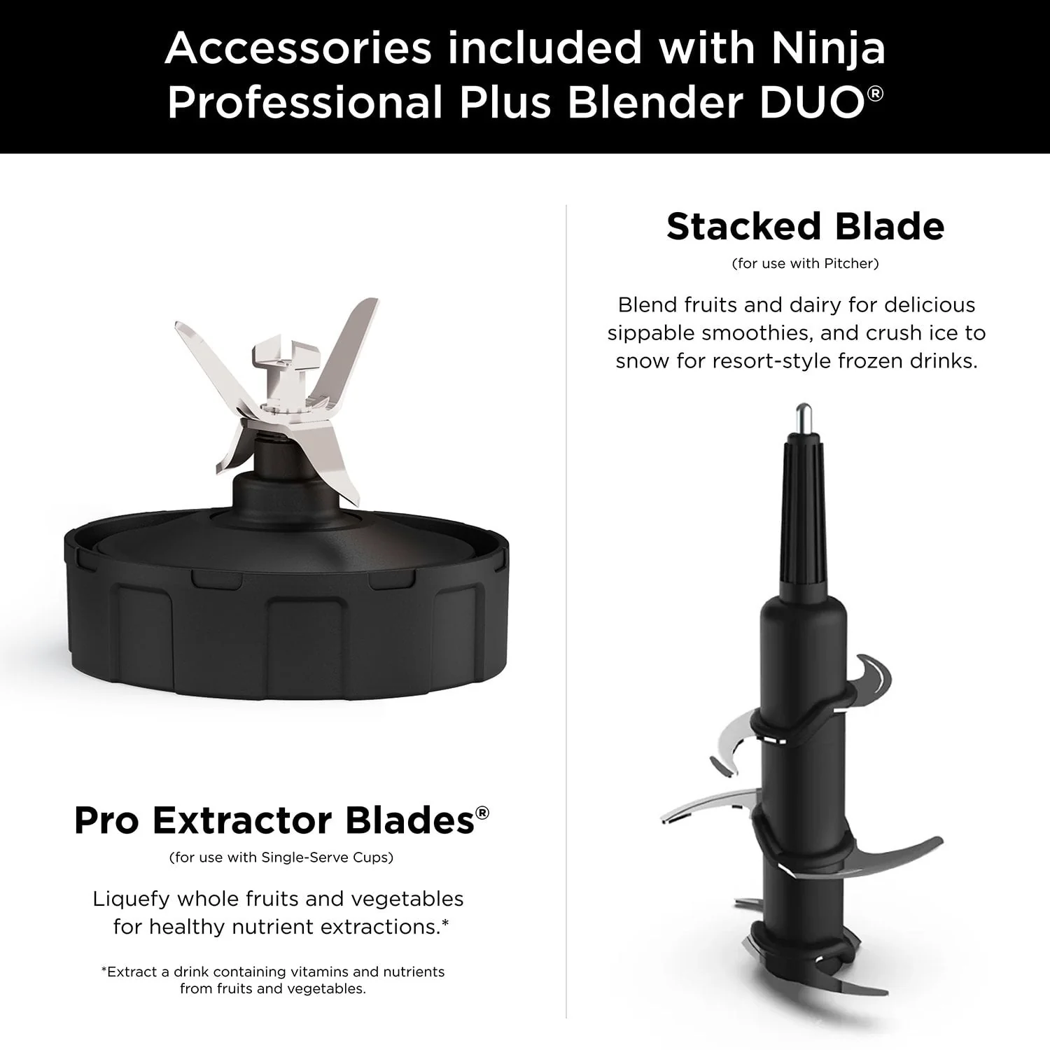 Ninja Professional Plus Blender DUO with Auto-iQ - Image 13