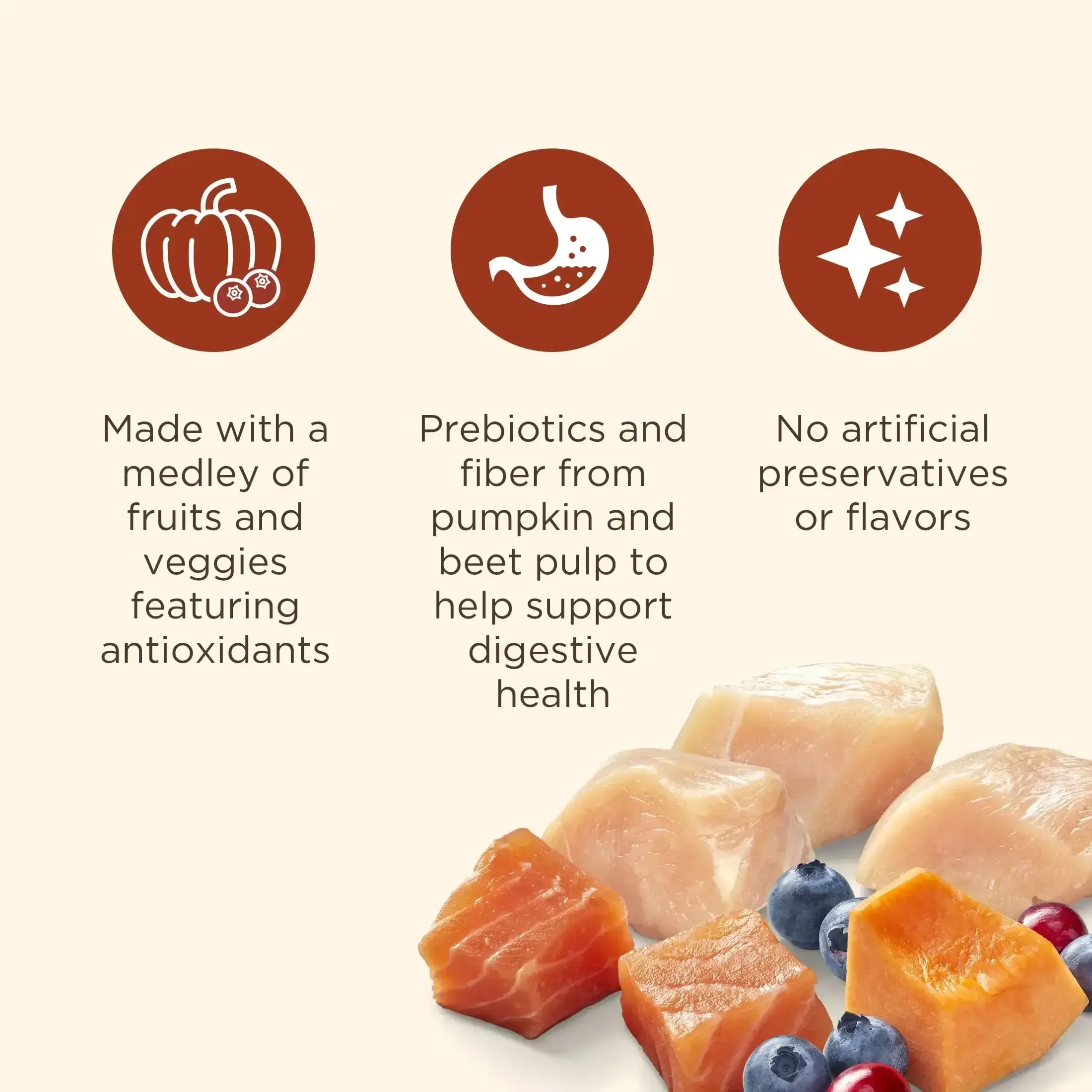 Nutrish Everyday Immune Support Chicken, Salmon, Blueberry & Pumpkin Recipe Dry Dog Food, 13lb Bag - Image 3