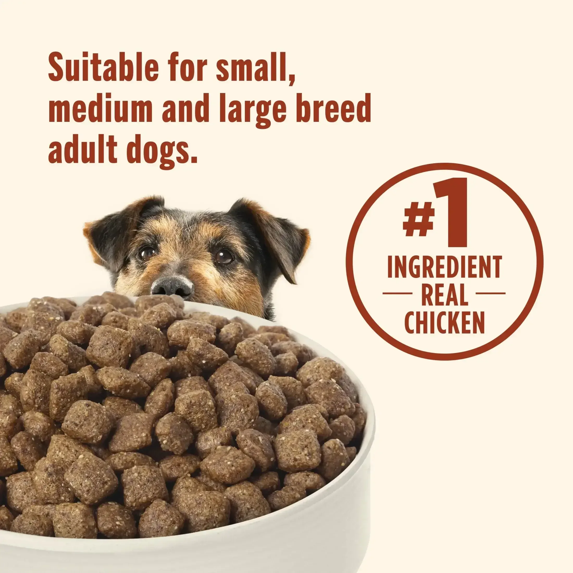 Nutrish Everyday Immune Support Chicken, Salmon, Blueberry & Pumpkin Recipe Dry Dog Food, 13lb Bag - Image 4