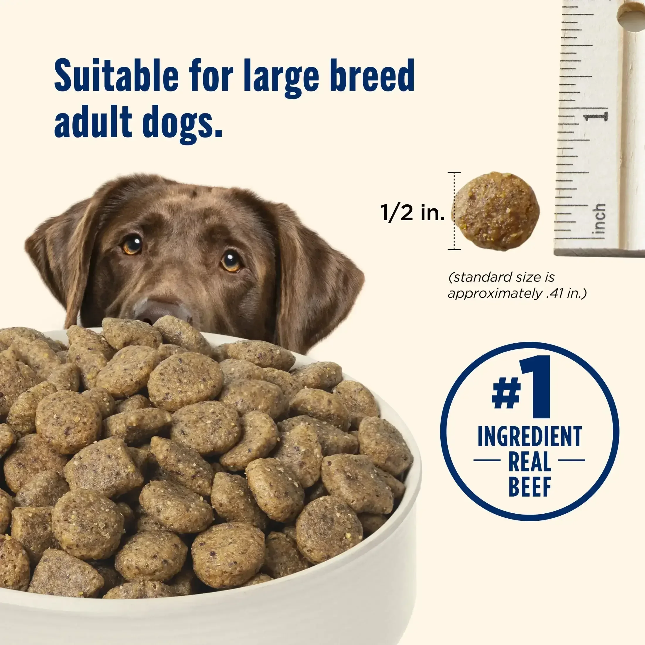 Nutrish Large Breed Real Beef, Pea, Carrot & Brown Rice Recipe Whole Health Blend Dry Dog Food, 14 lb. Bag (Rachael Ray) - Image 6