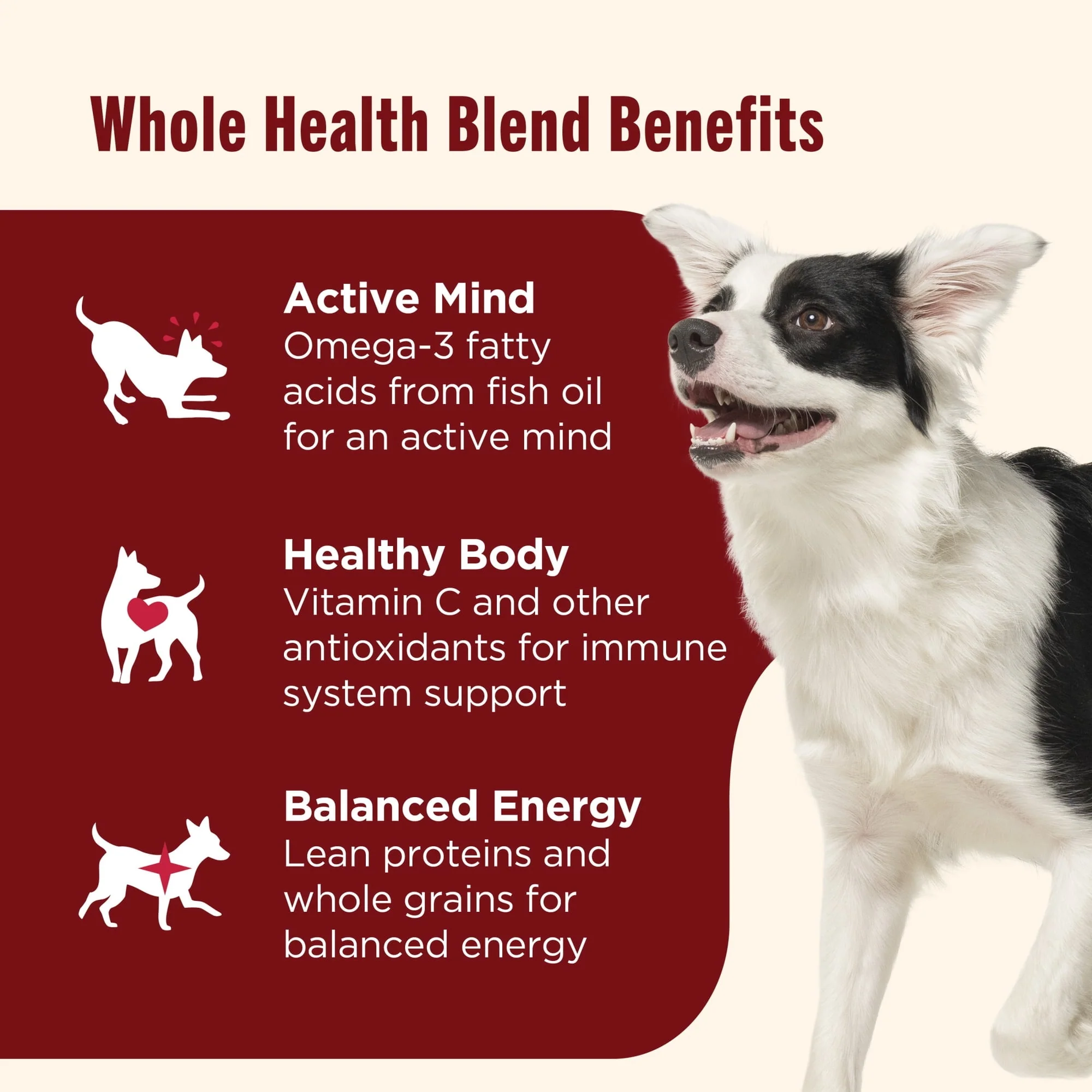 Nutrish Real Beef & Pumpkin Recipe Whole Health Blend Premium Paté Wet Dog Food, 13 oz. Can (Rachael Ray) - Image 5