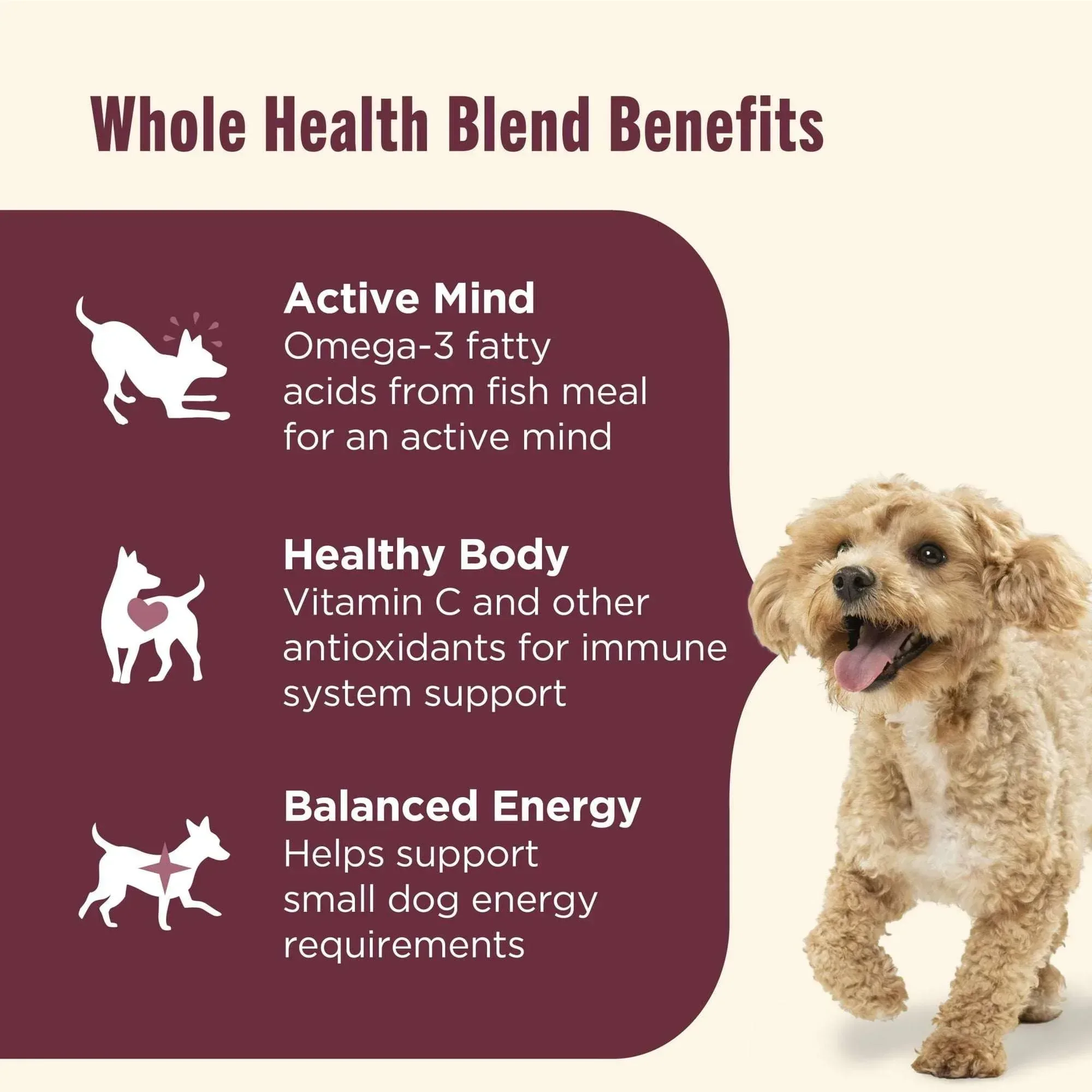 Nutrish Small Breed Real Chicken & Veggies Recipe Whole Health Blend Dry Dog Food - Image 4