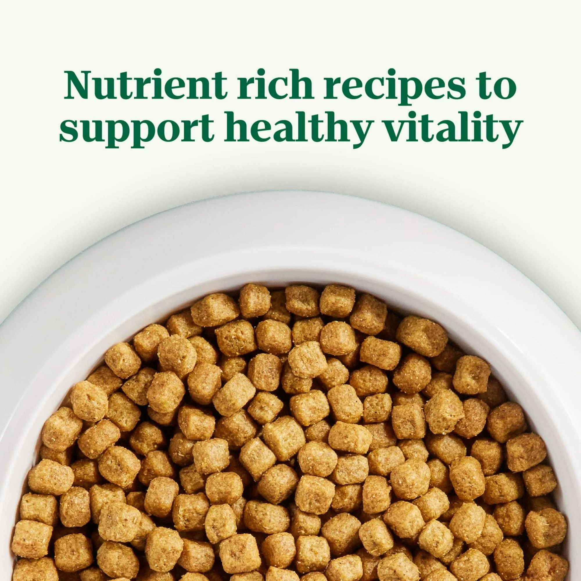 Nutro Natural Choice Senior Small Breed Dry Dog Food, Chicken And Brown Rice, 5 Lbs. - Image 4